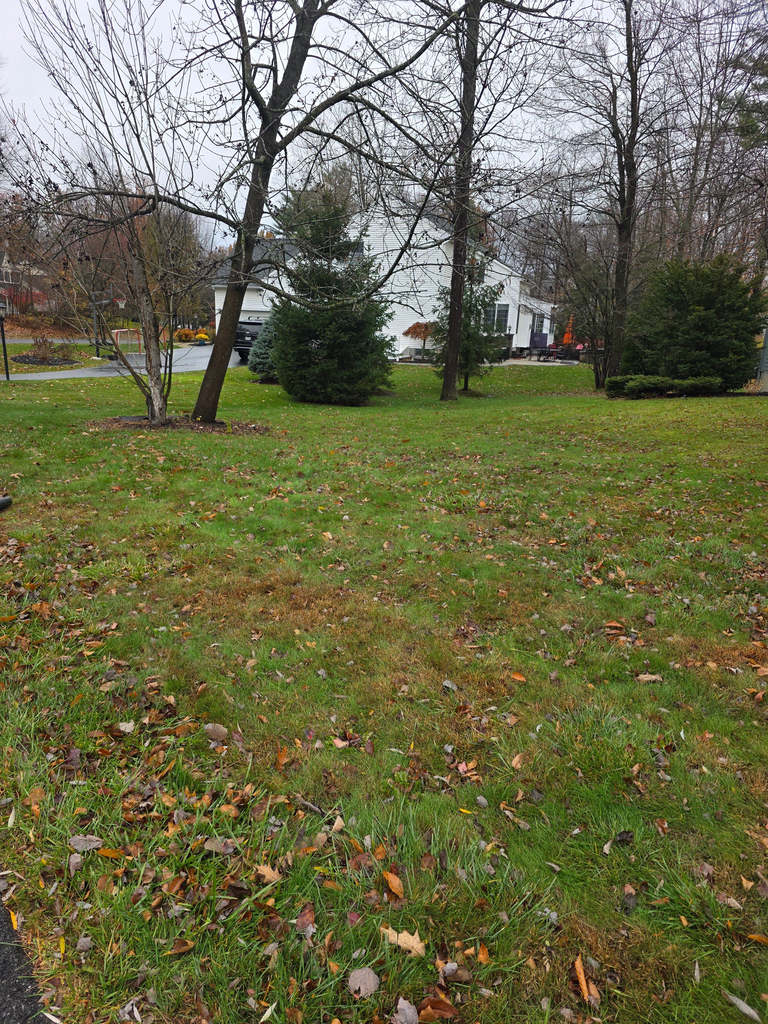  for Sweet Scapes in Ballston Spa, NY