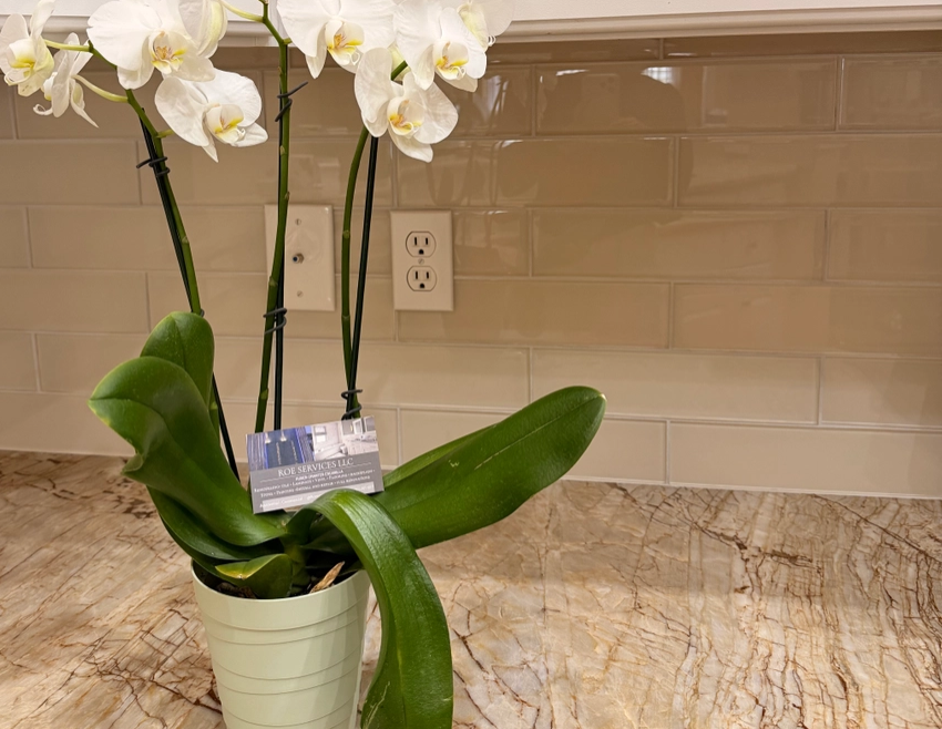  for Roe Tile Services  in Boca Raton, Florida