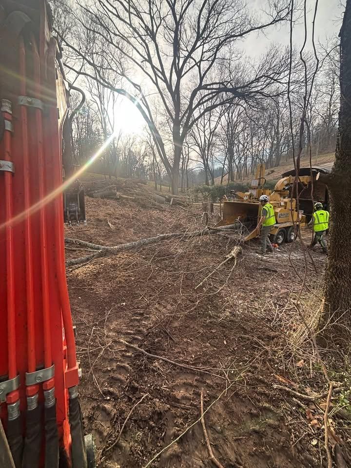  for TD Dirtworks in Tracy City, TN