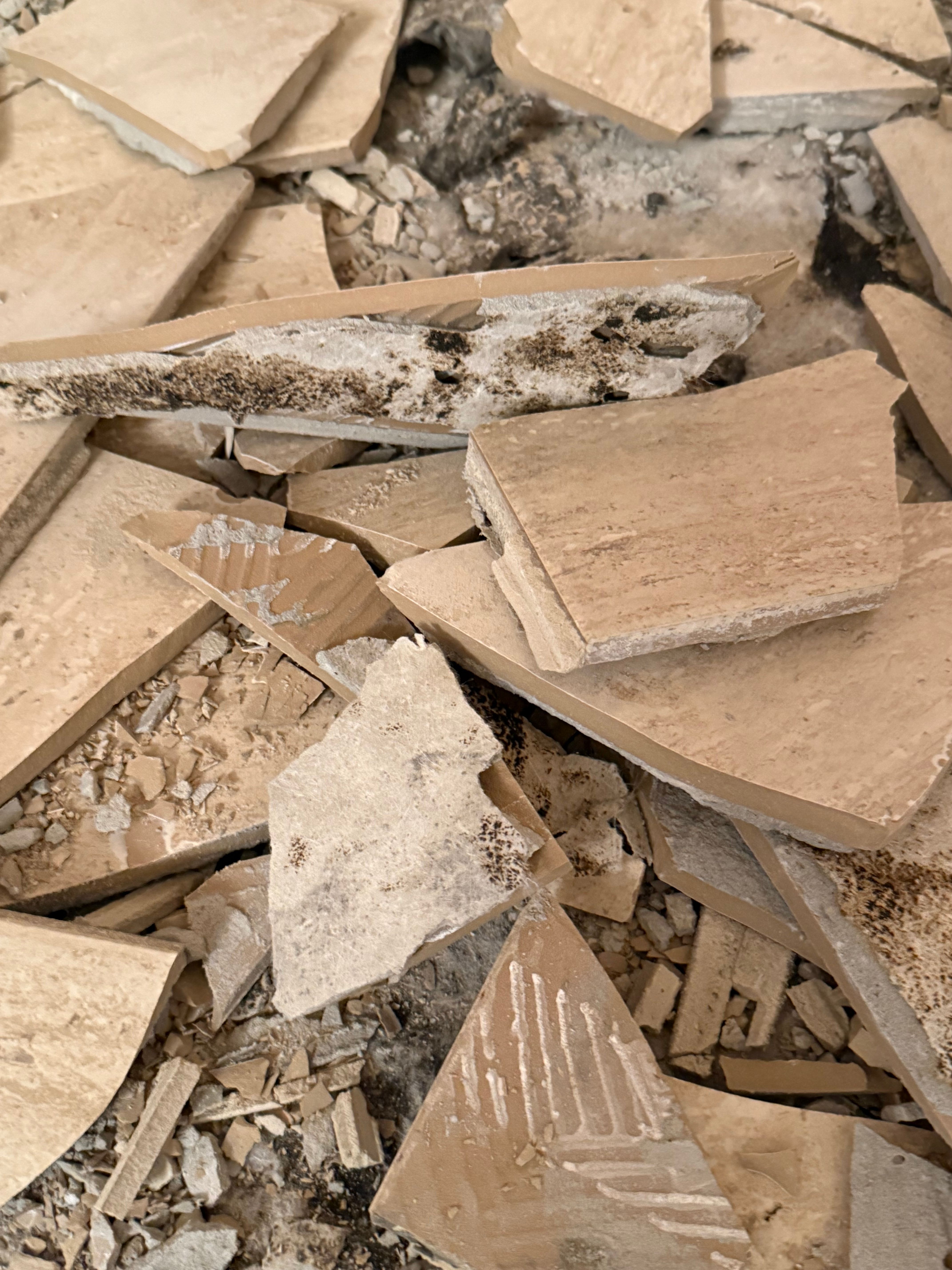  for N&D Restoration Services When Disaster Strikes, We Come In in Cape Coral,  FL