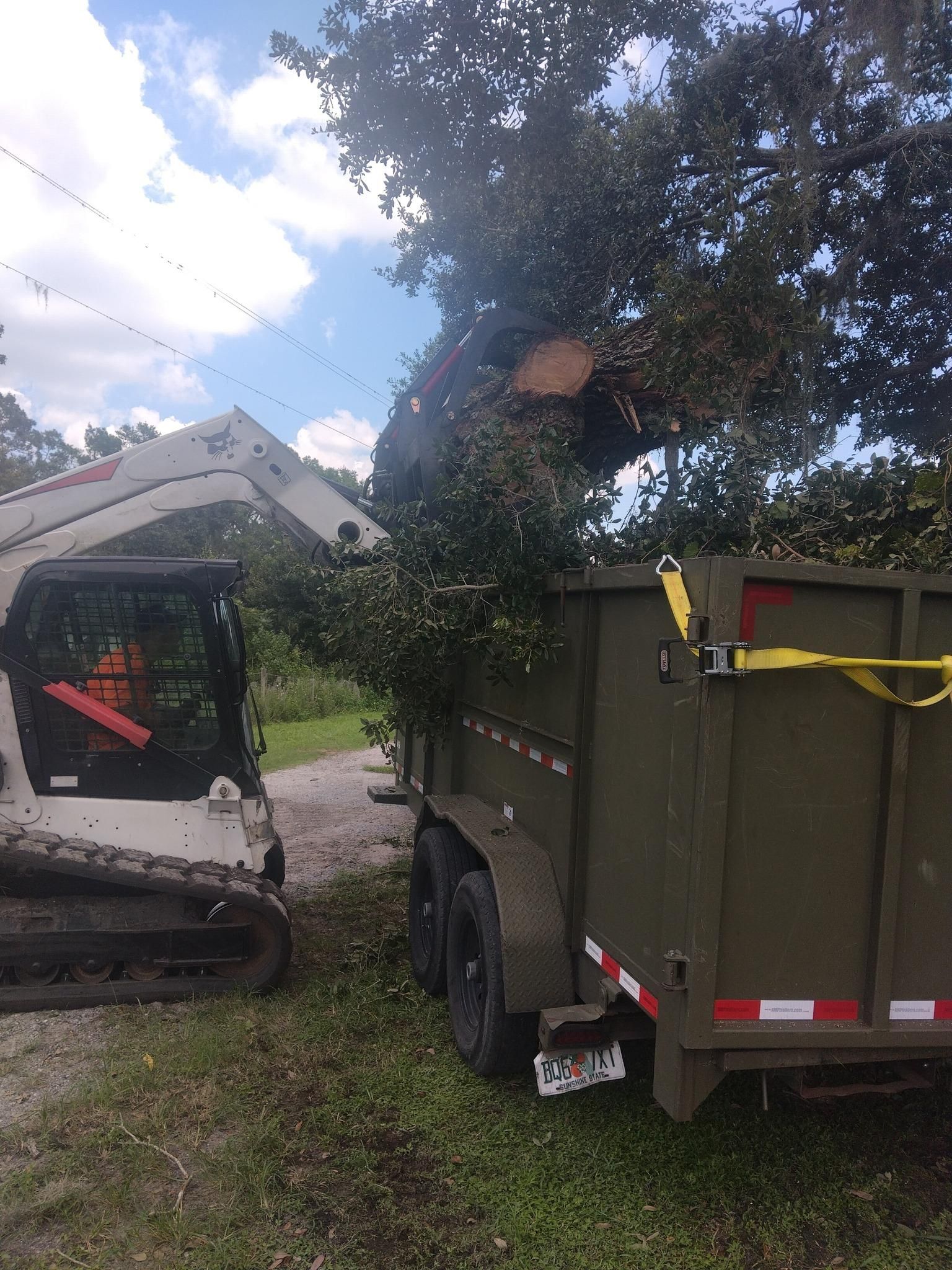  for Bills Tree Service in Valrico, FL
