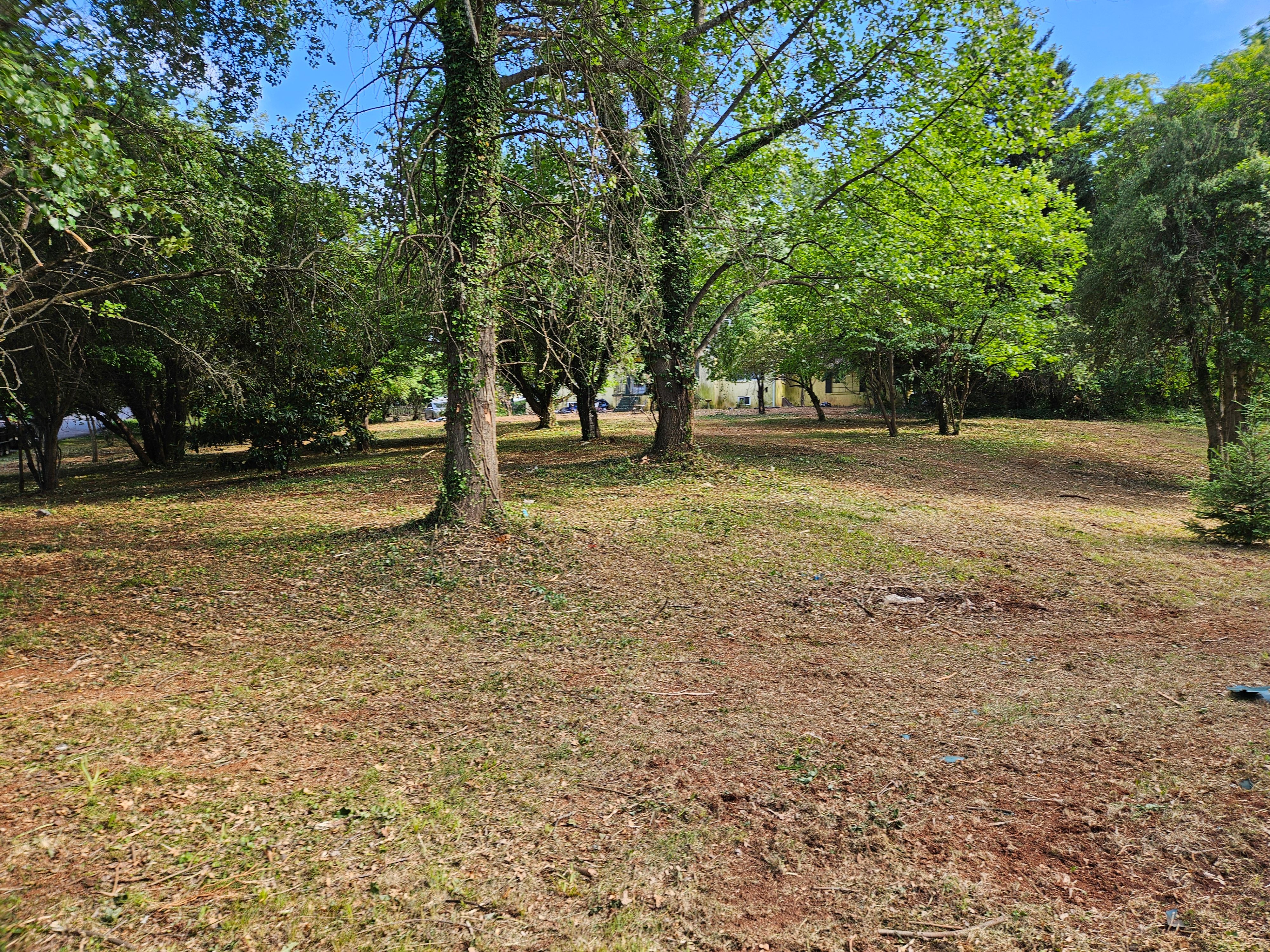 All Photos for Browns Grounds in Culpeper, VA