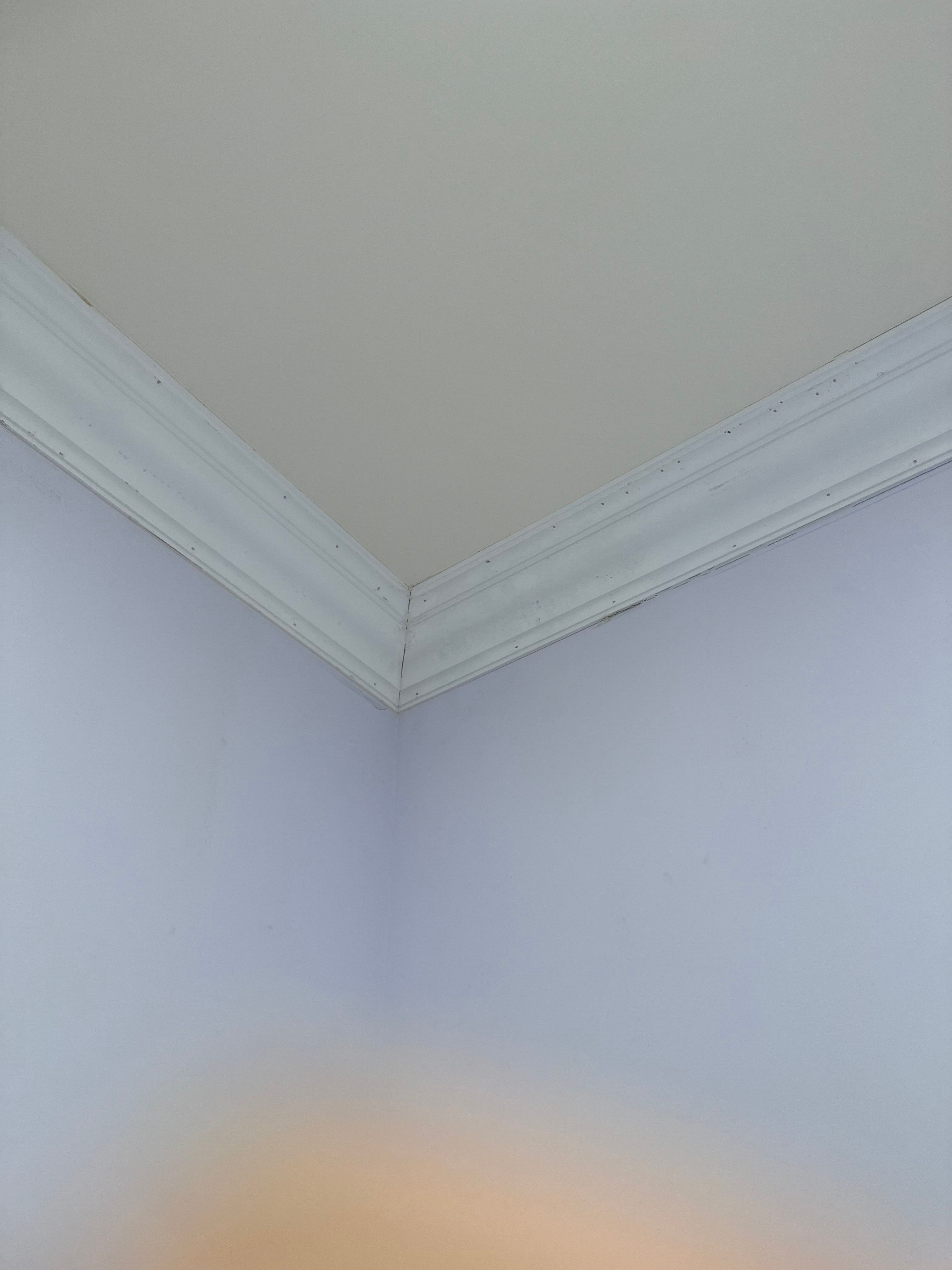  for Joel's Local Handyman Services in Clermont, FL