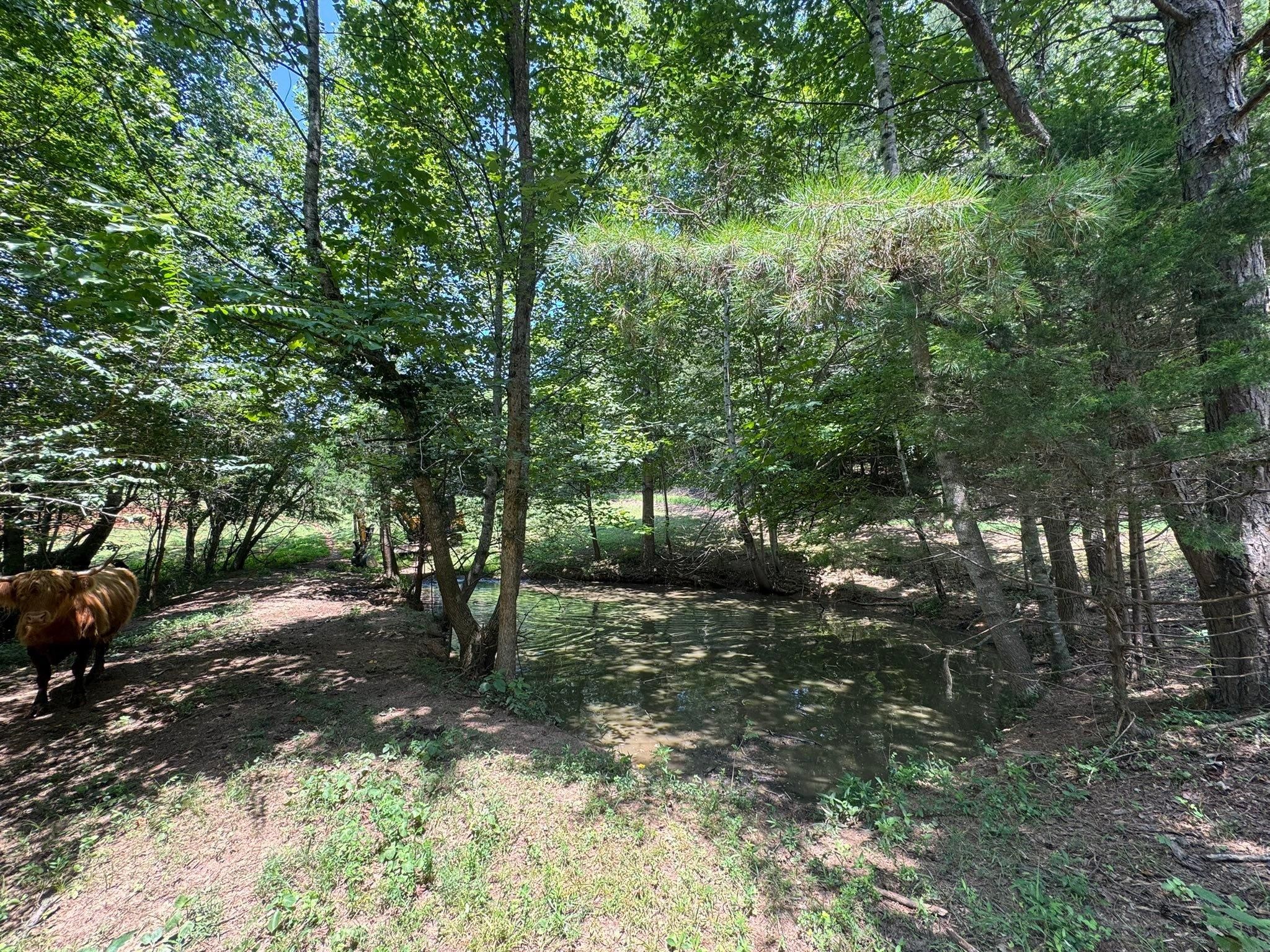  for F&CO Excavation in Clinton, TN