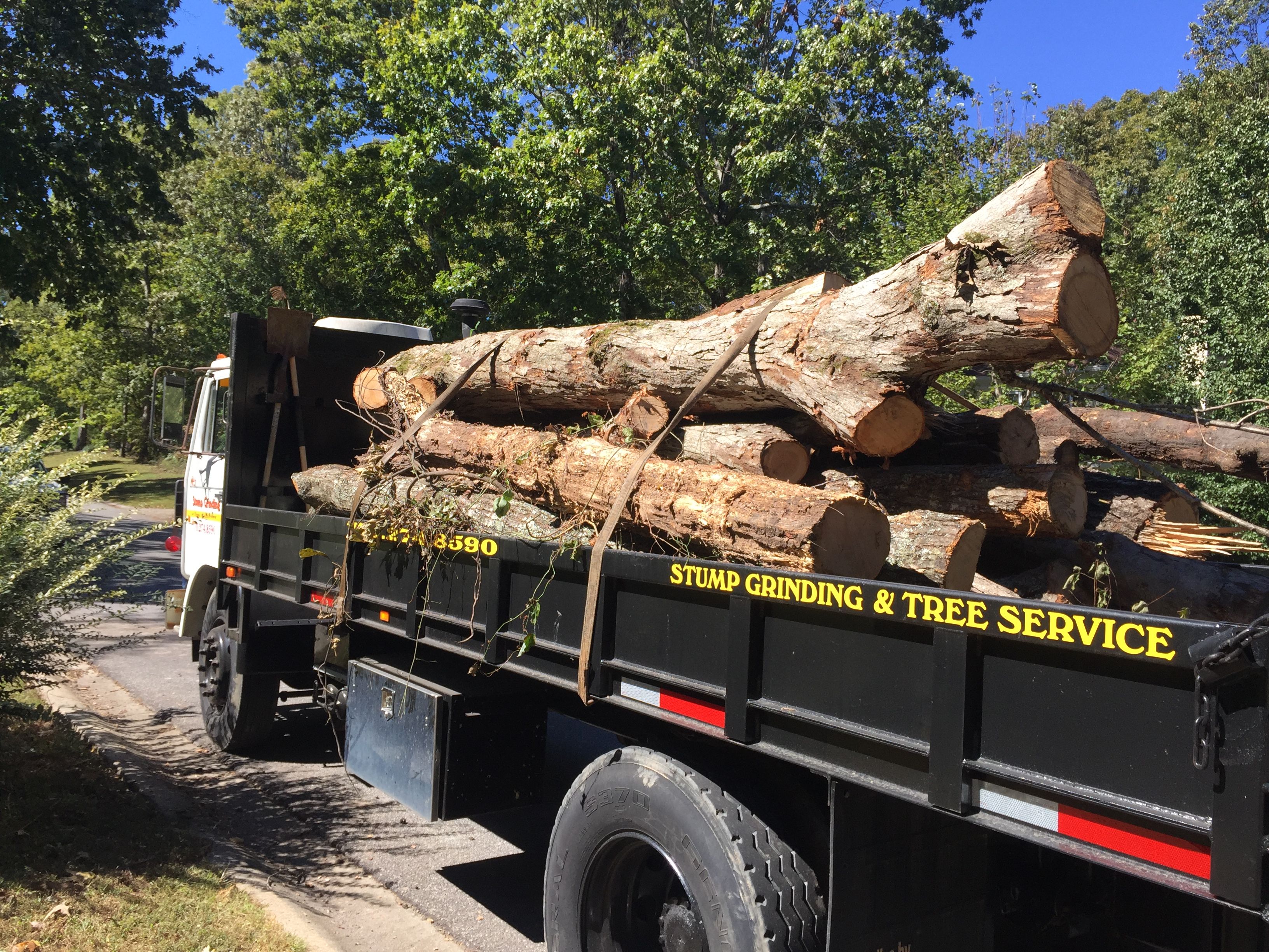  for M & J Tree Service & Stump Grinding in Auburn, GA