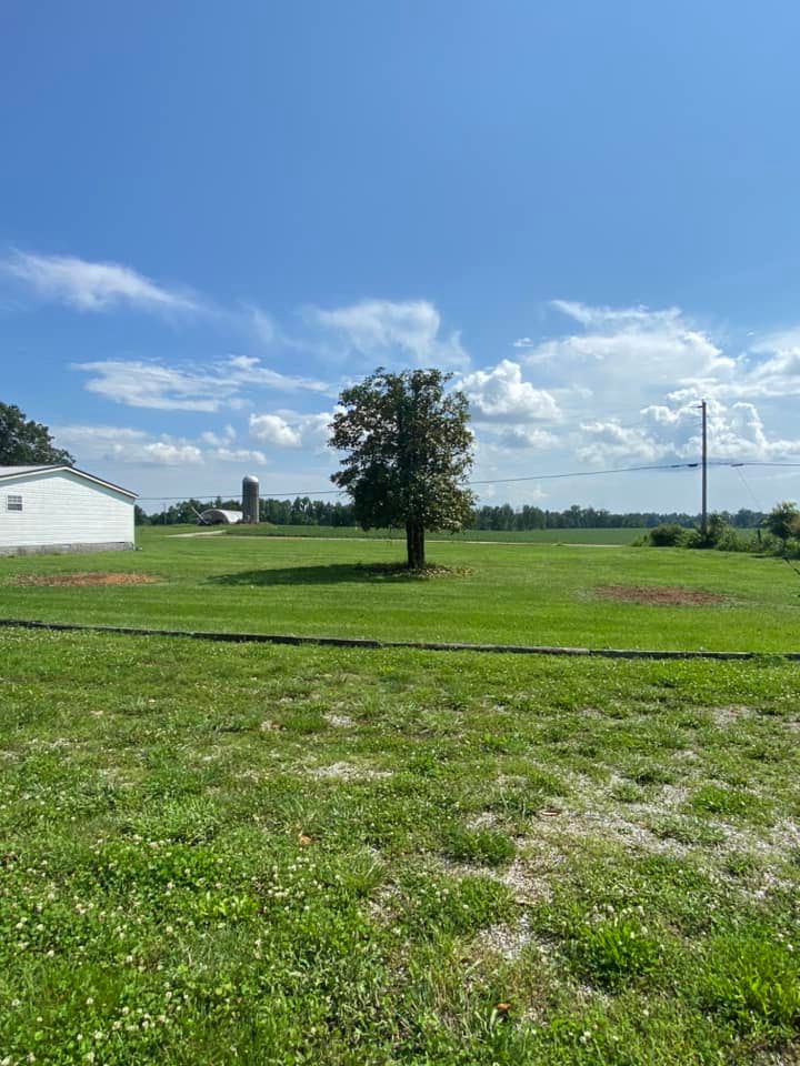 Tree Removal for Atwood’s Tree Care in Liberty,  KY