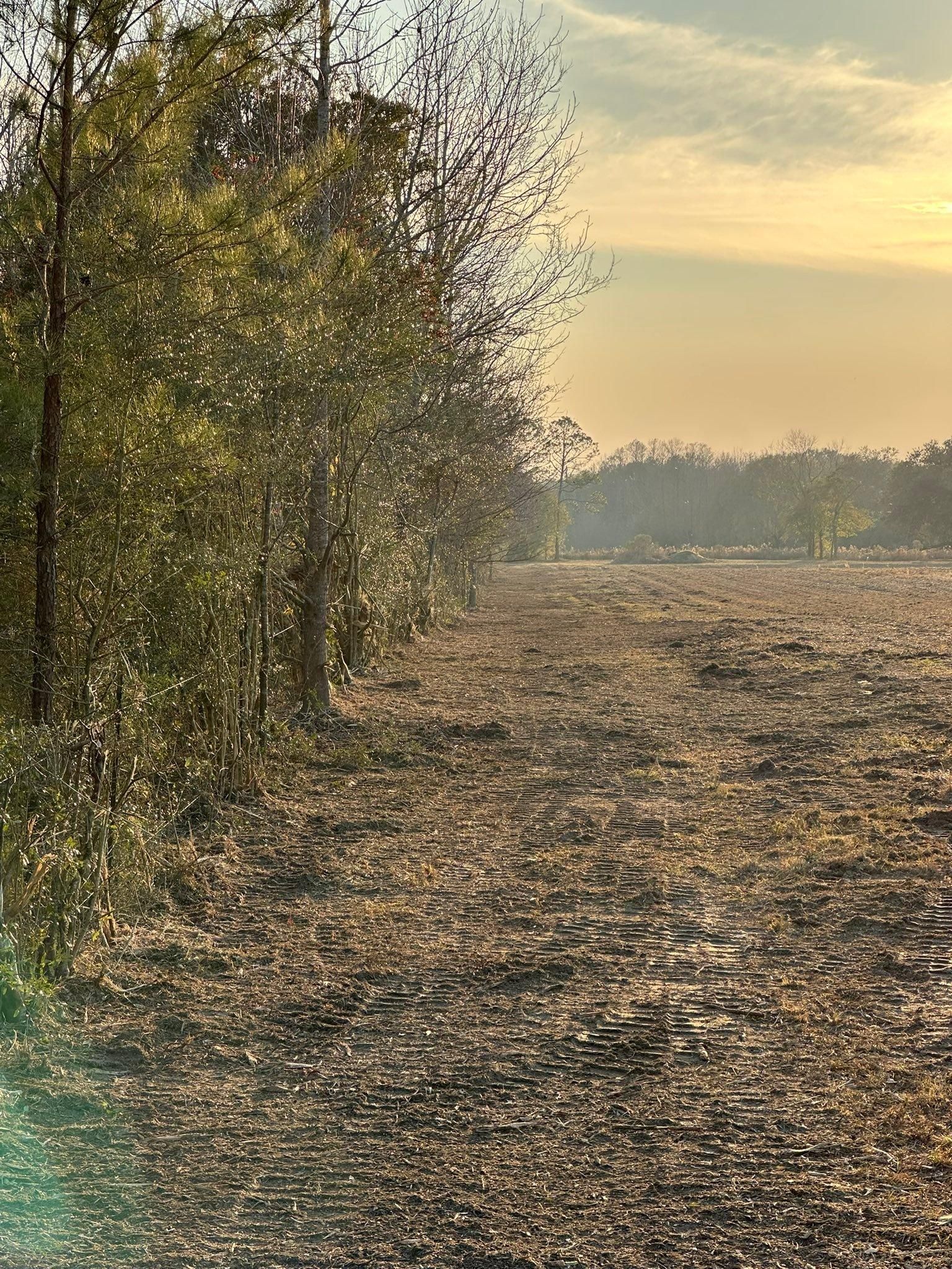  for White’s Land Maintenance in Milton,, FL