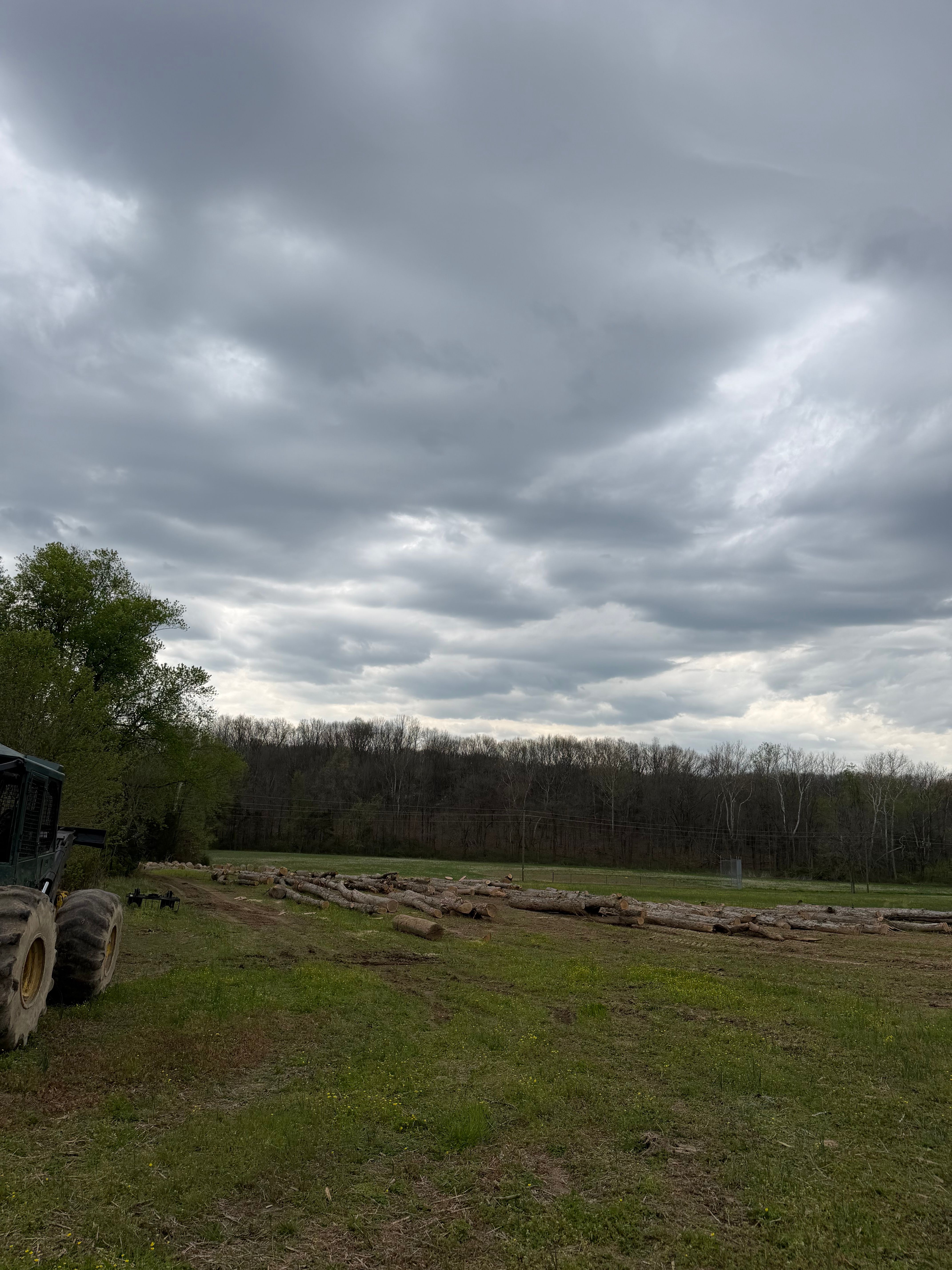 All Photos for Kadin’s Tree Service in North Vernon, IN