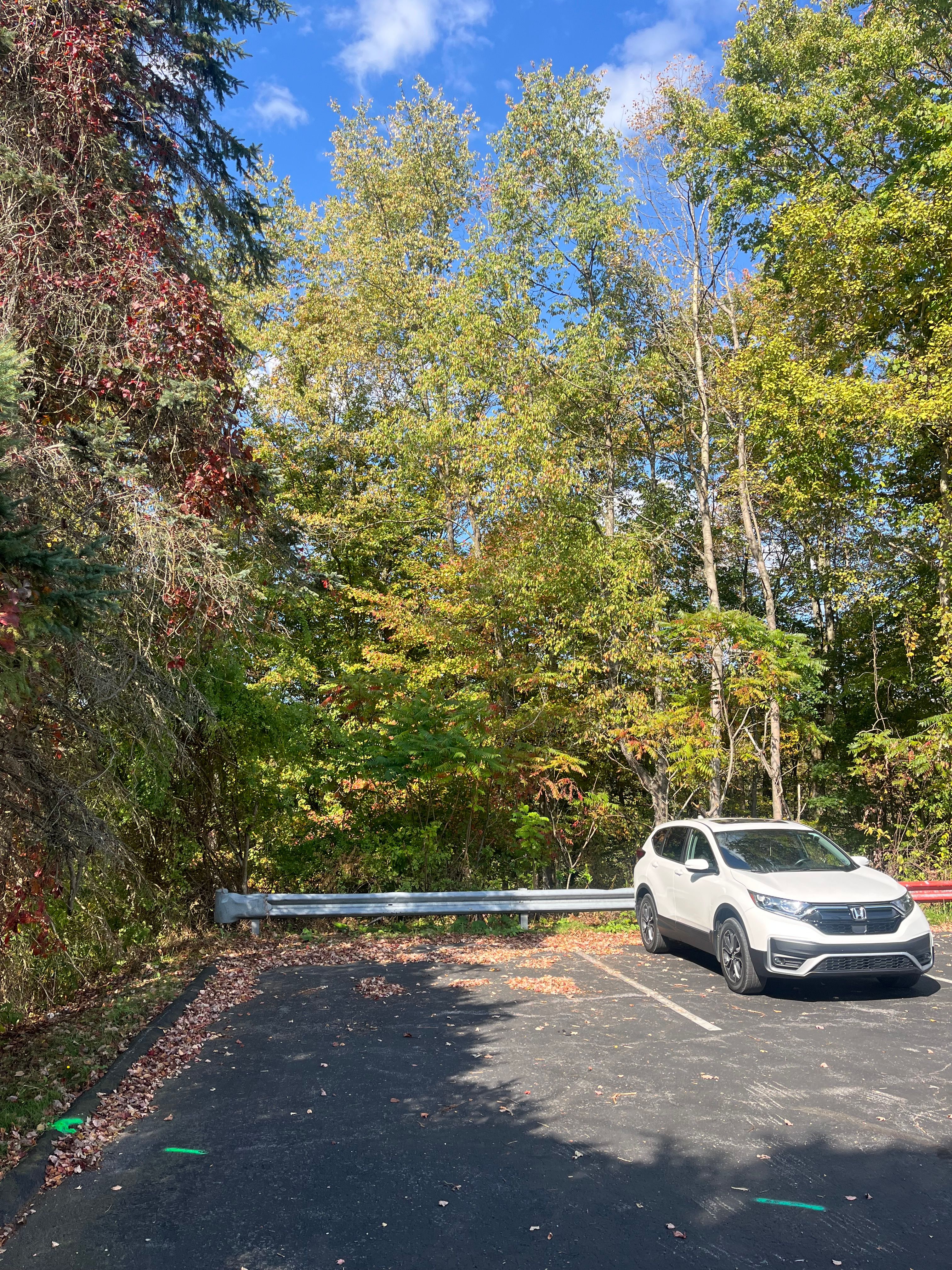  for J&E Tree & Excavation Services in Sandy, PA