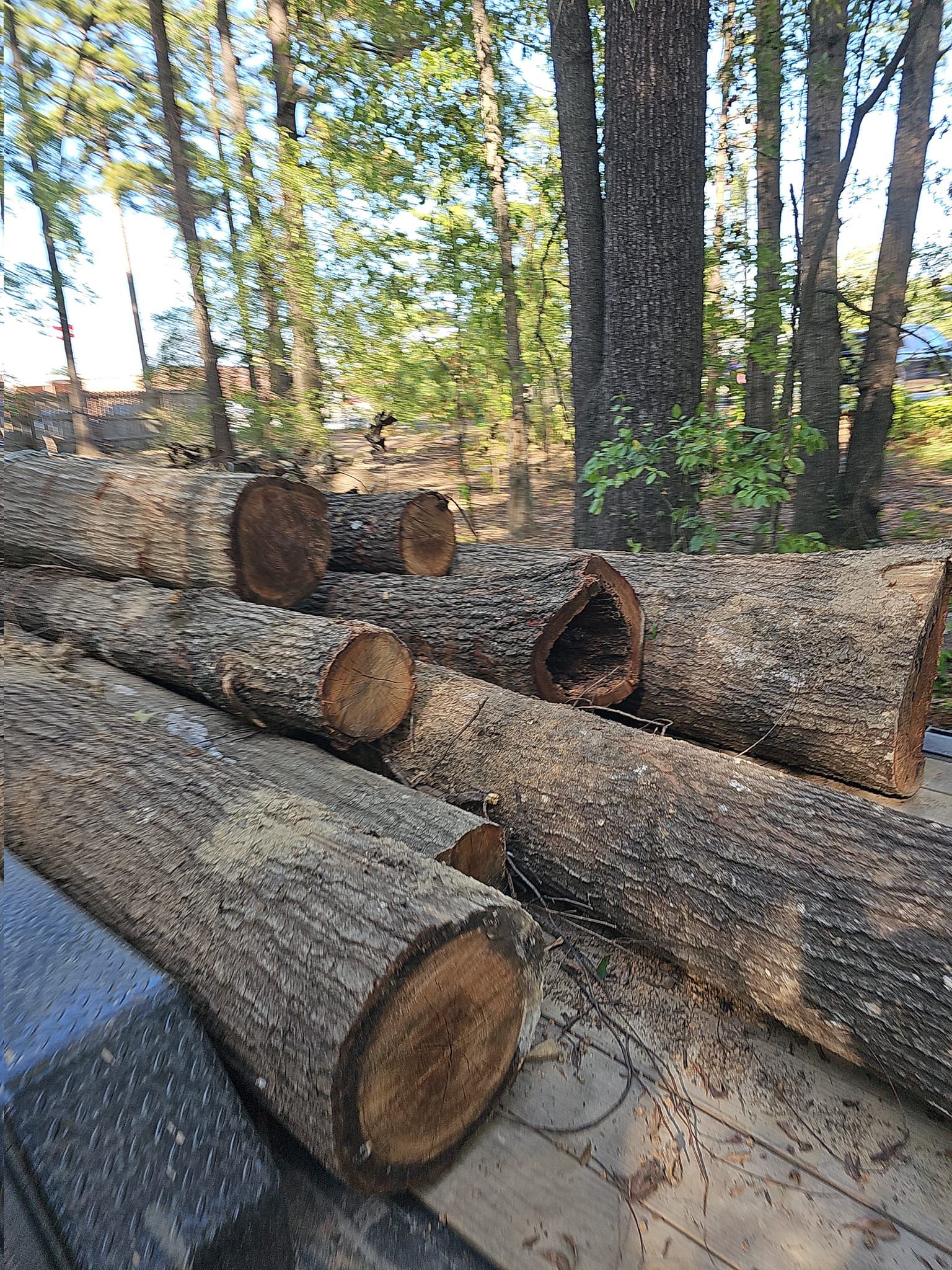  for Millers Tree Service in Saline County, AR