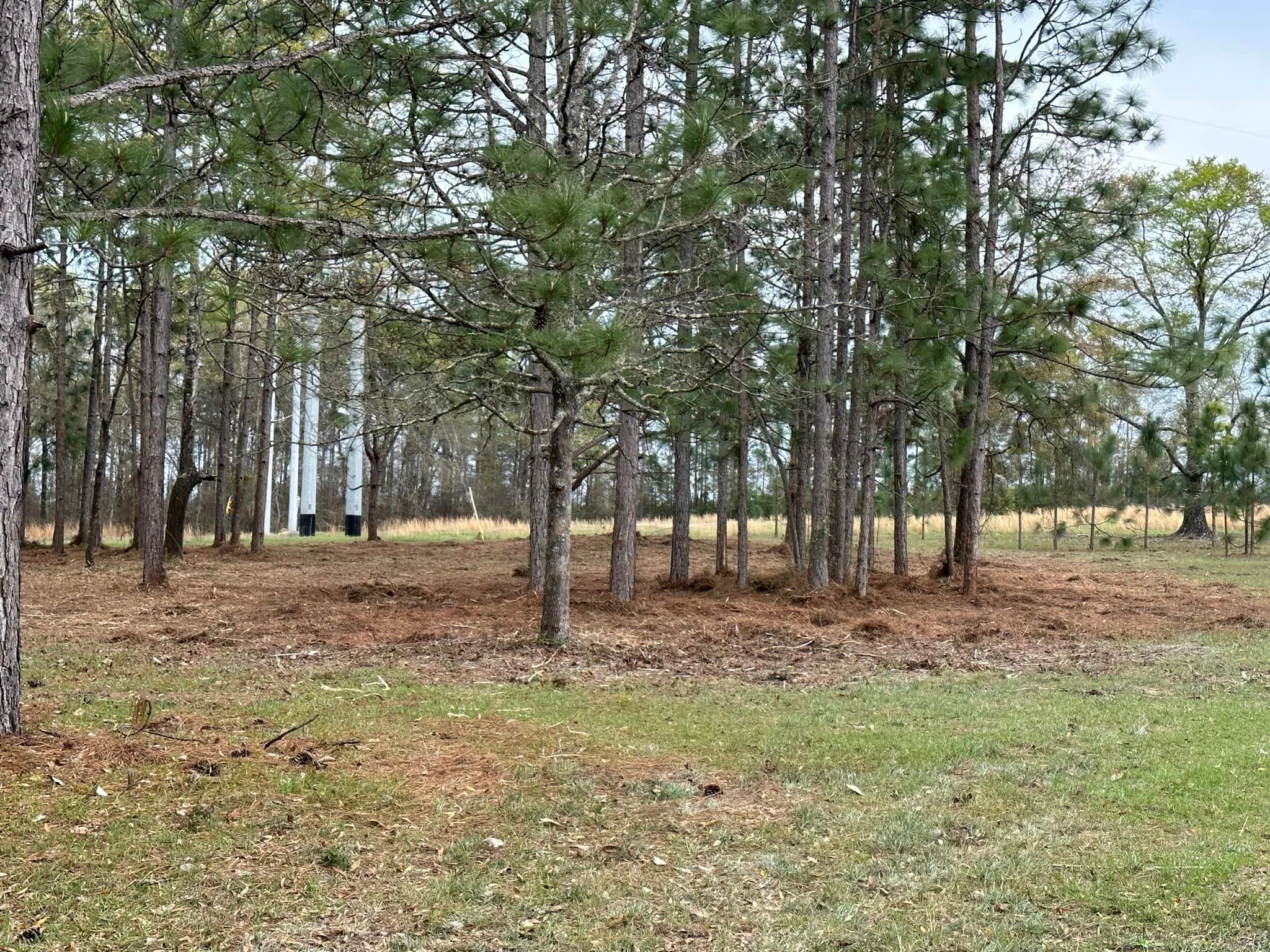 All Photos for White’s Land Maintenance in Milton,, FL