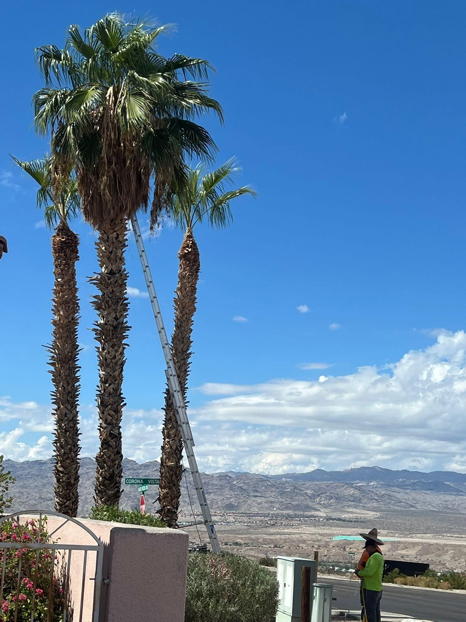  for Top Notch Landscape Services LLC in Mohave Valley, AZ