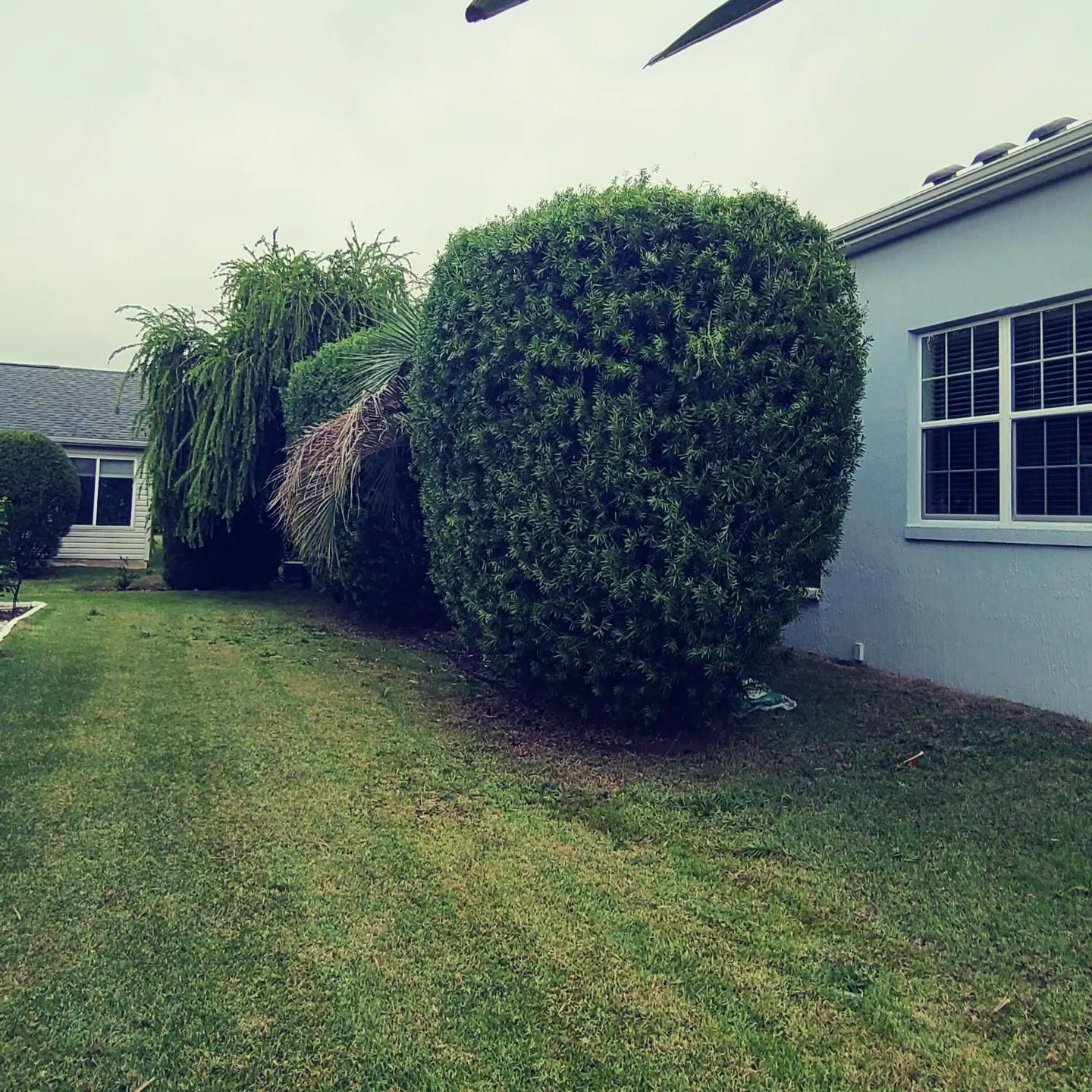  for TopNotch Landscaping Services  in The Villages, FL