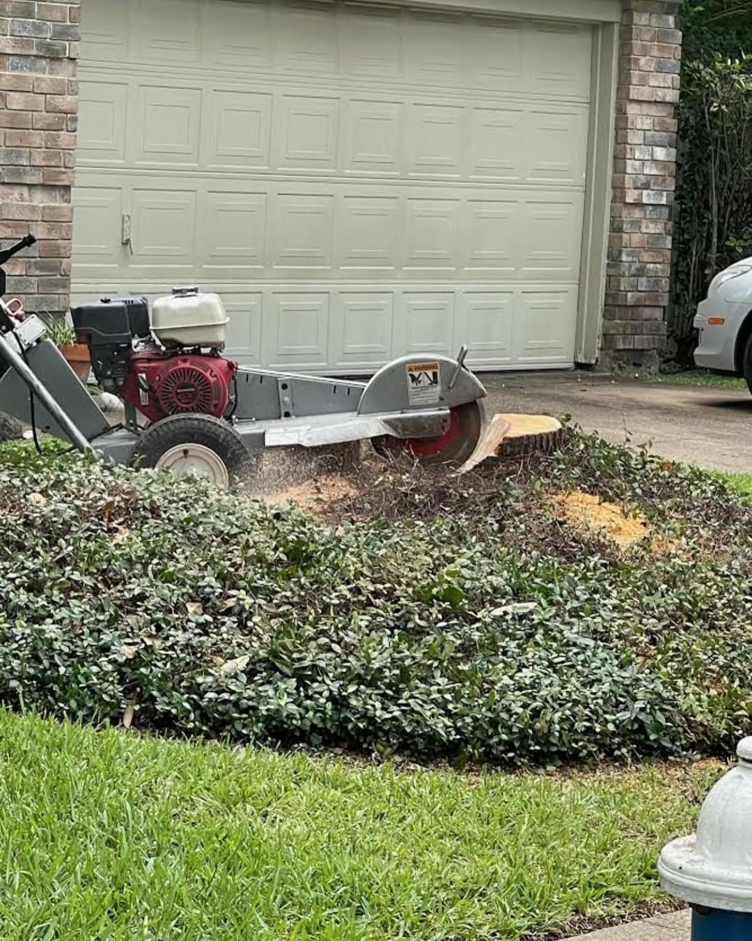 All Photos for Exclusive Demolition & Tree Service in Houston, TX