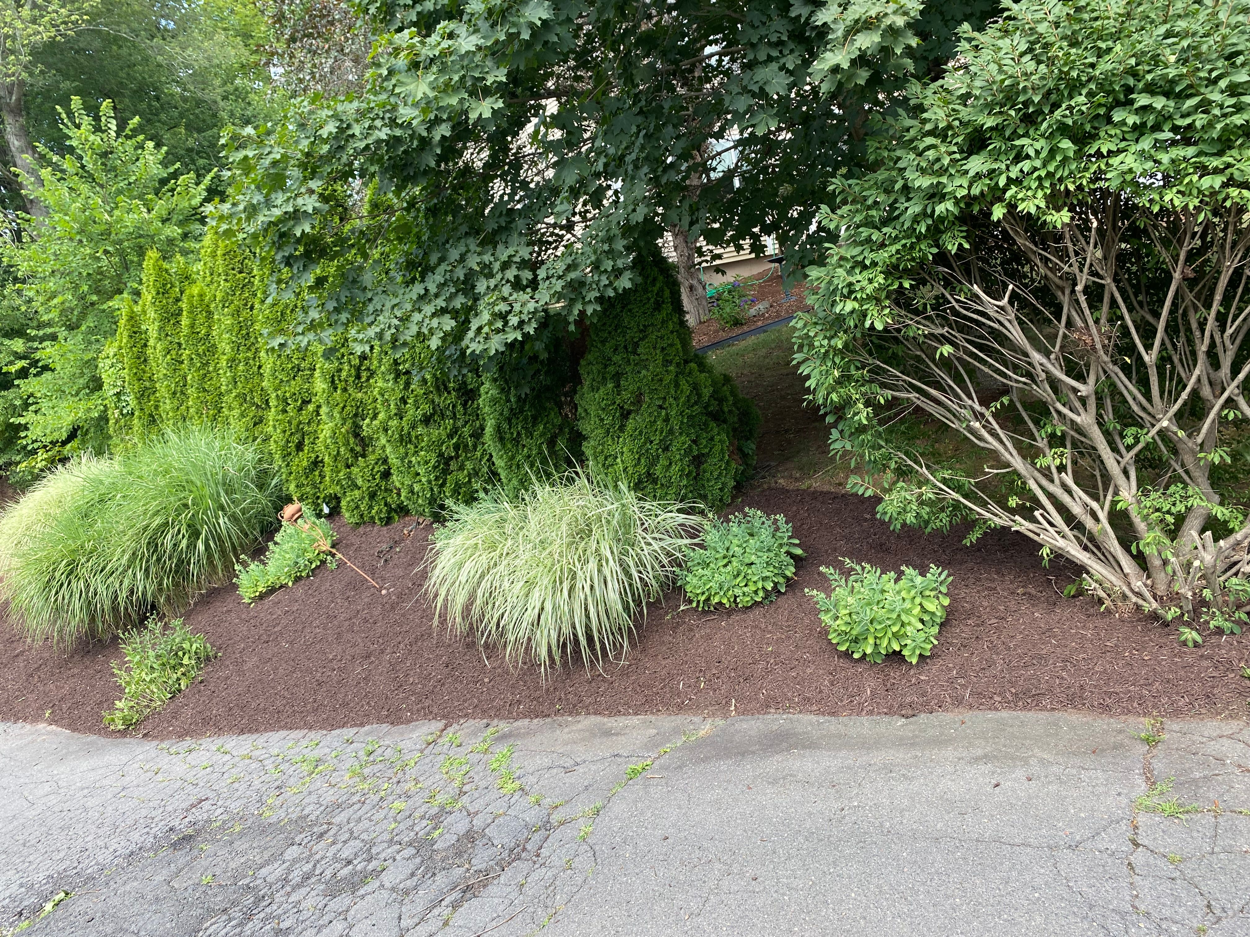 Mulching for Stevenson Property Maintenance in Cheshire, CT