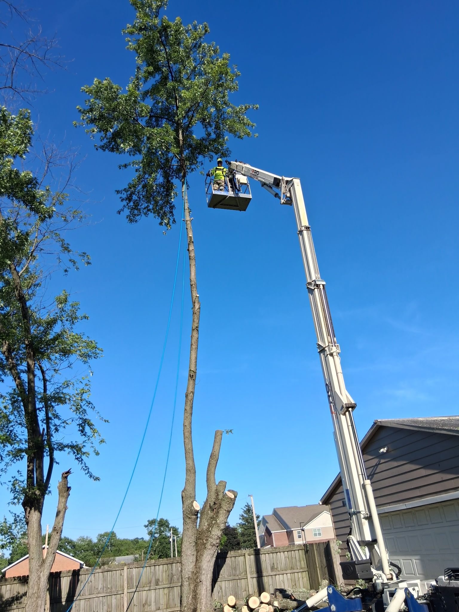 All Photos for Pro Tree Trim & Removal, Llc in Dayton, OH
