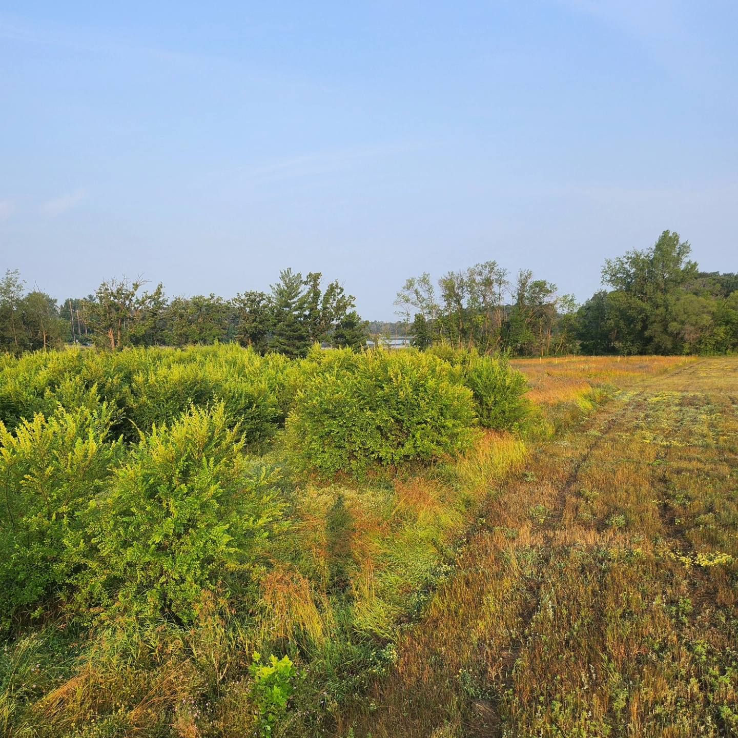  for Central Minnesota Brush Control and Landscaping in Brook Park, MN