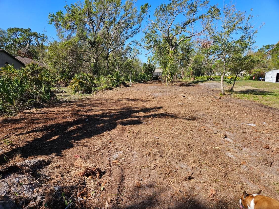  for Bay Area Bobcat in Riverview, FL