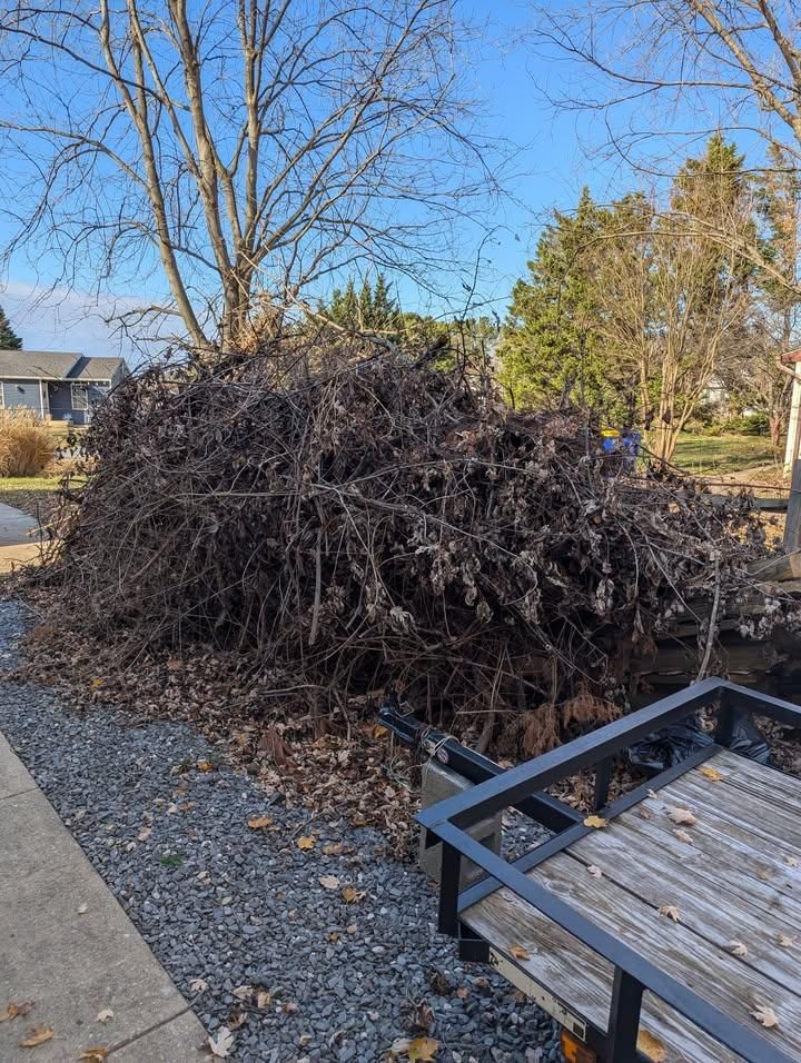  for Turtle's Haul-Away & Junk Removal in Stevensville, MD