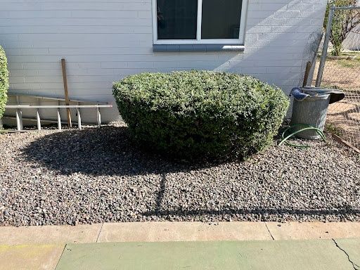 All Photos for Grand Canyon State Landscape Inc. in Surprise, AZ