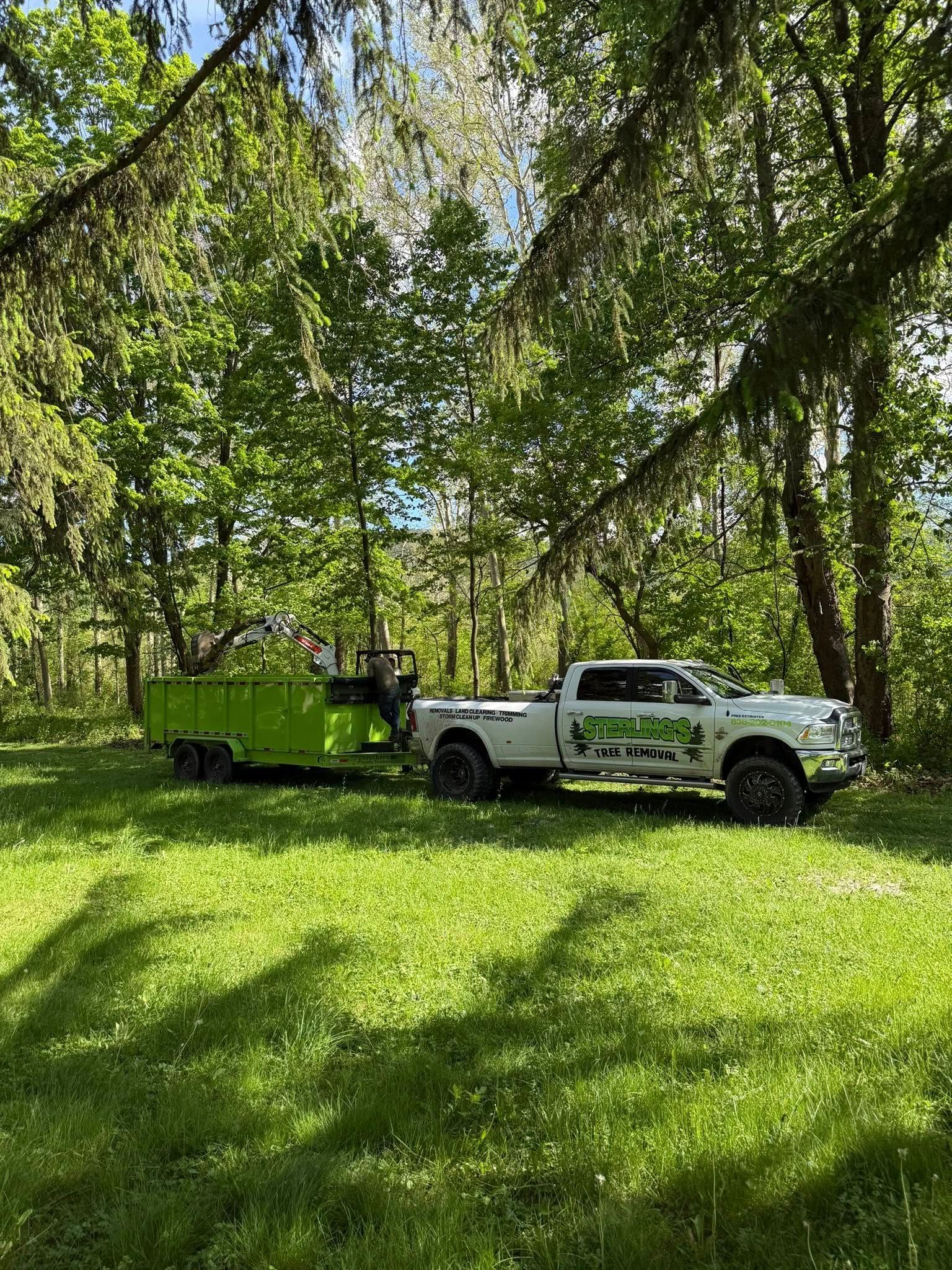 All Photos for Sterlings Tree Removal in Cobleskill, New York
