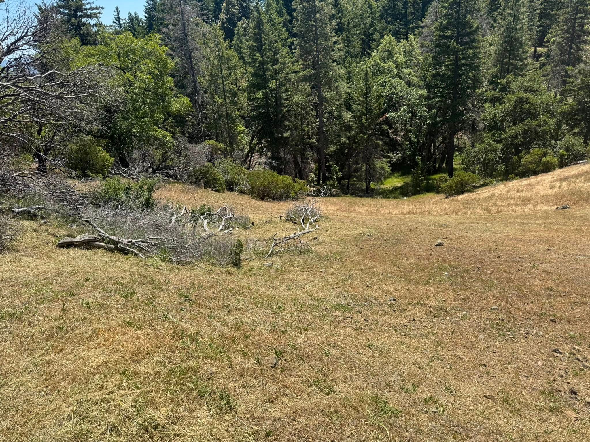 Fire Prevention for Stanisloo’s Landscaping and Services in Potter Valley, CA