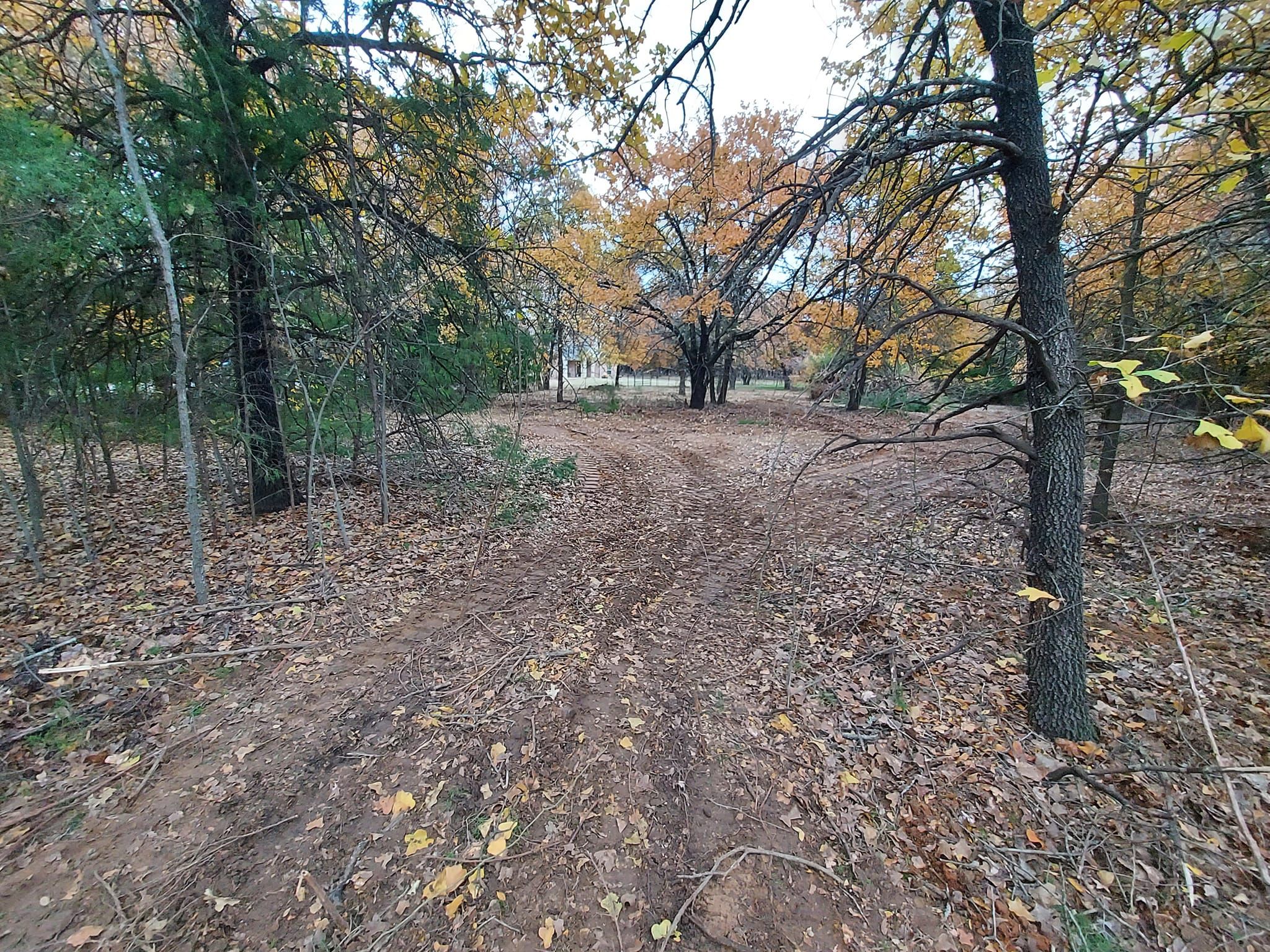  for 4H Property Services in Sanger, TX