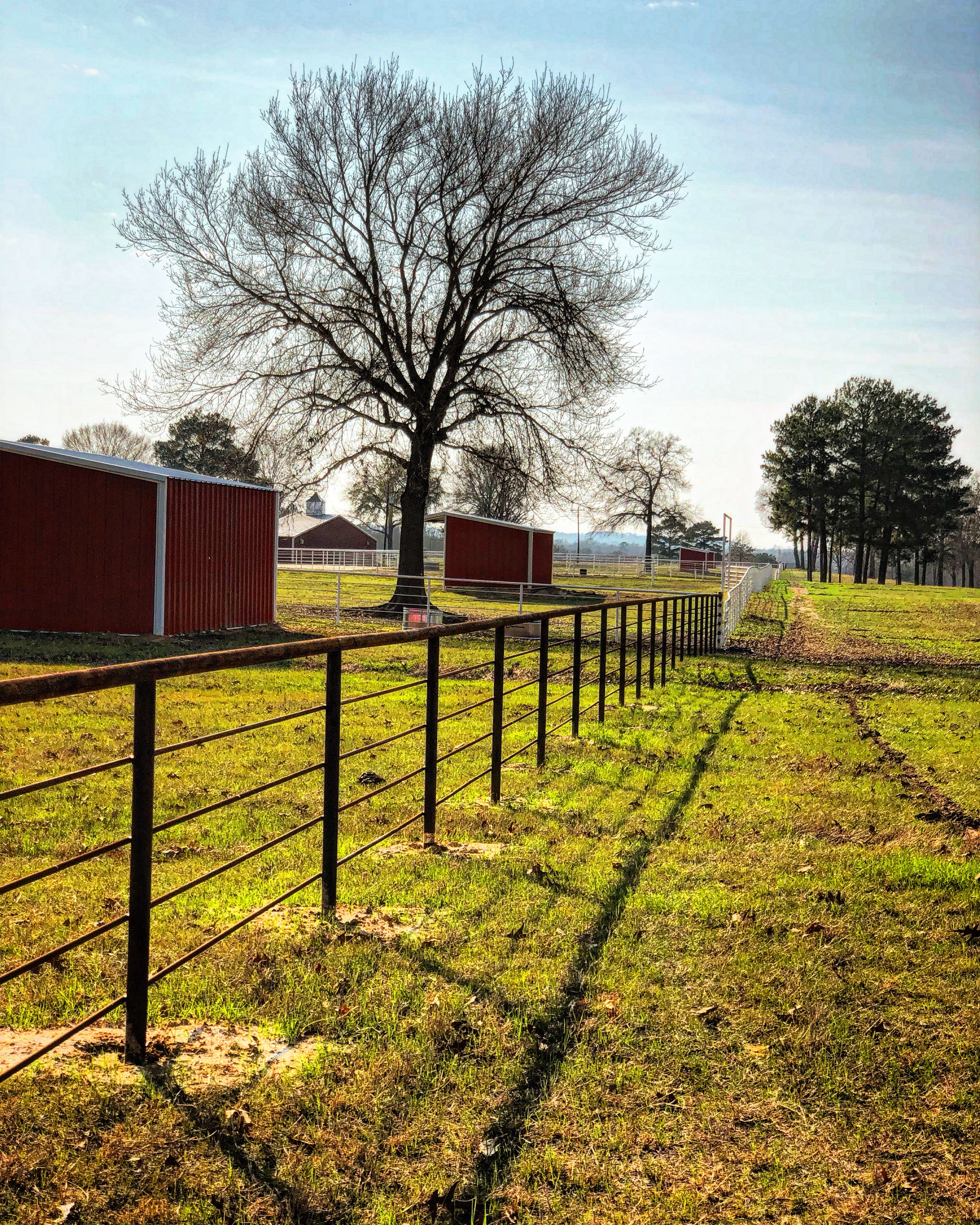  for Deans Welding ClayCee Kjeldgaard in Malakoff, TX