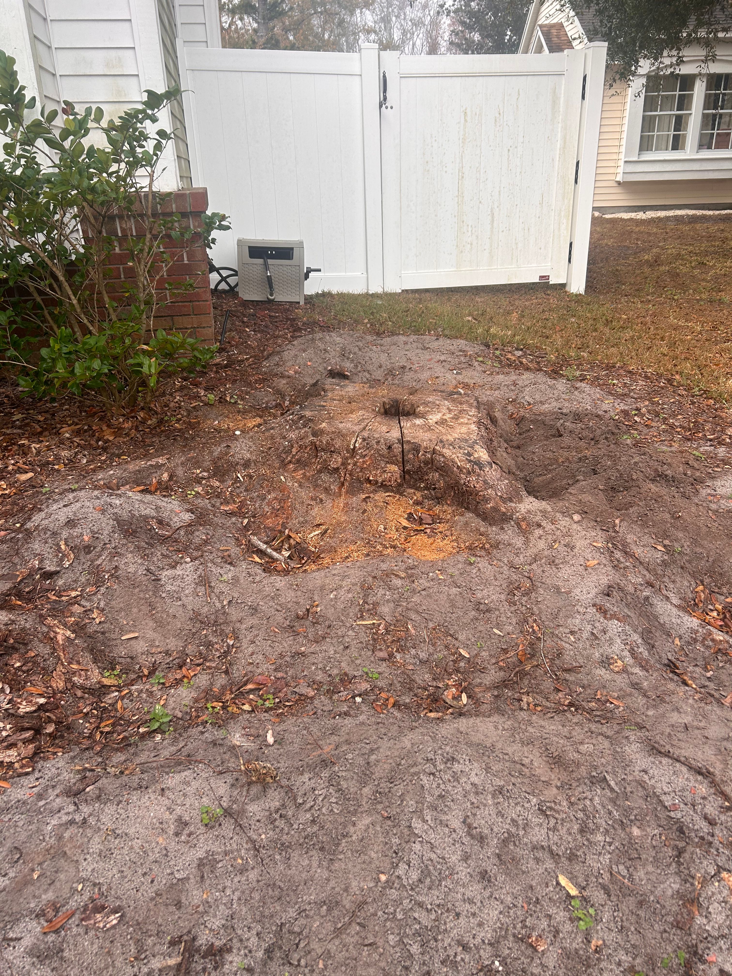  for Greene Acres Stump Grinding in Plant City, FL