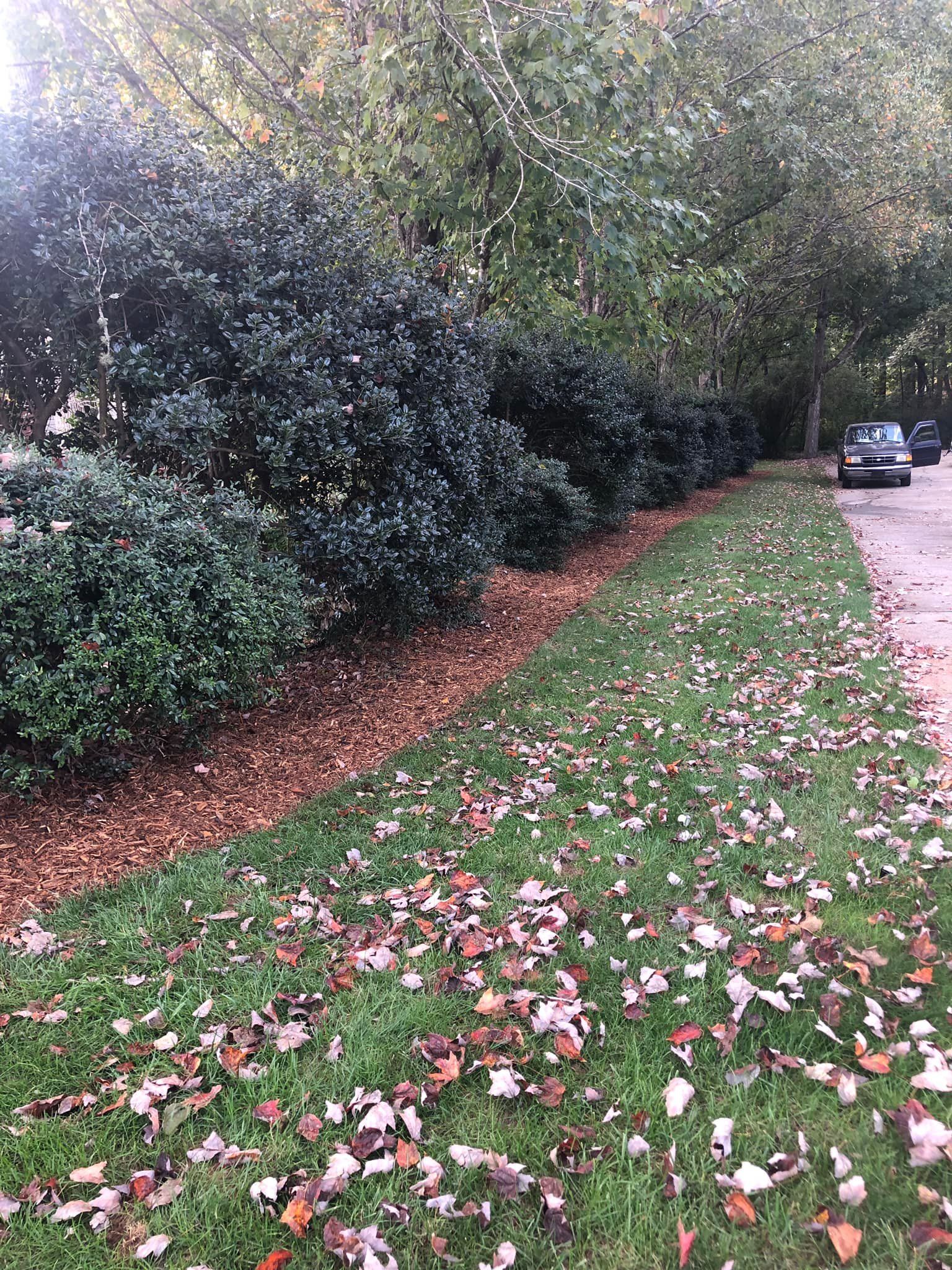  for Down To Earth Tree and Landscaping in Greenville, SC