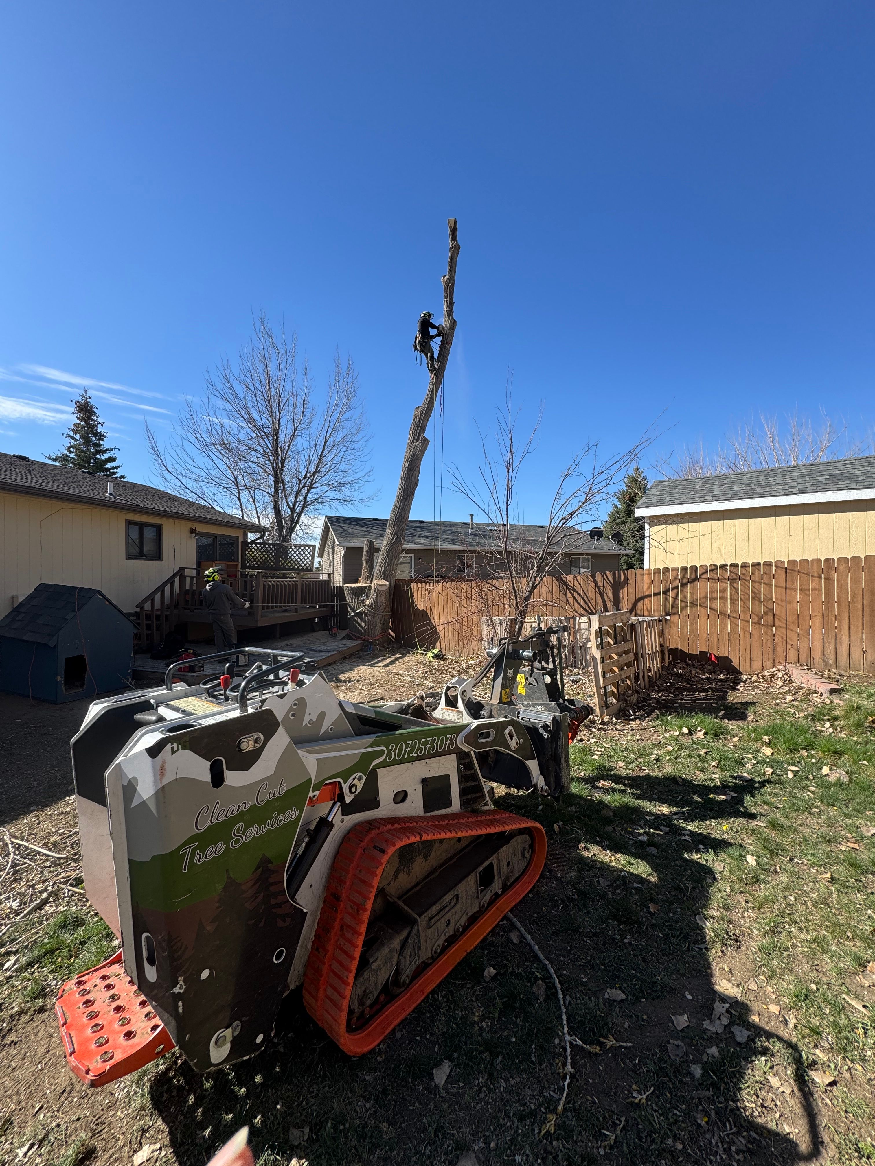  for Clean Cut Tree Service in Gillette, WY