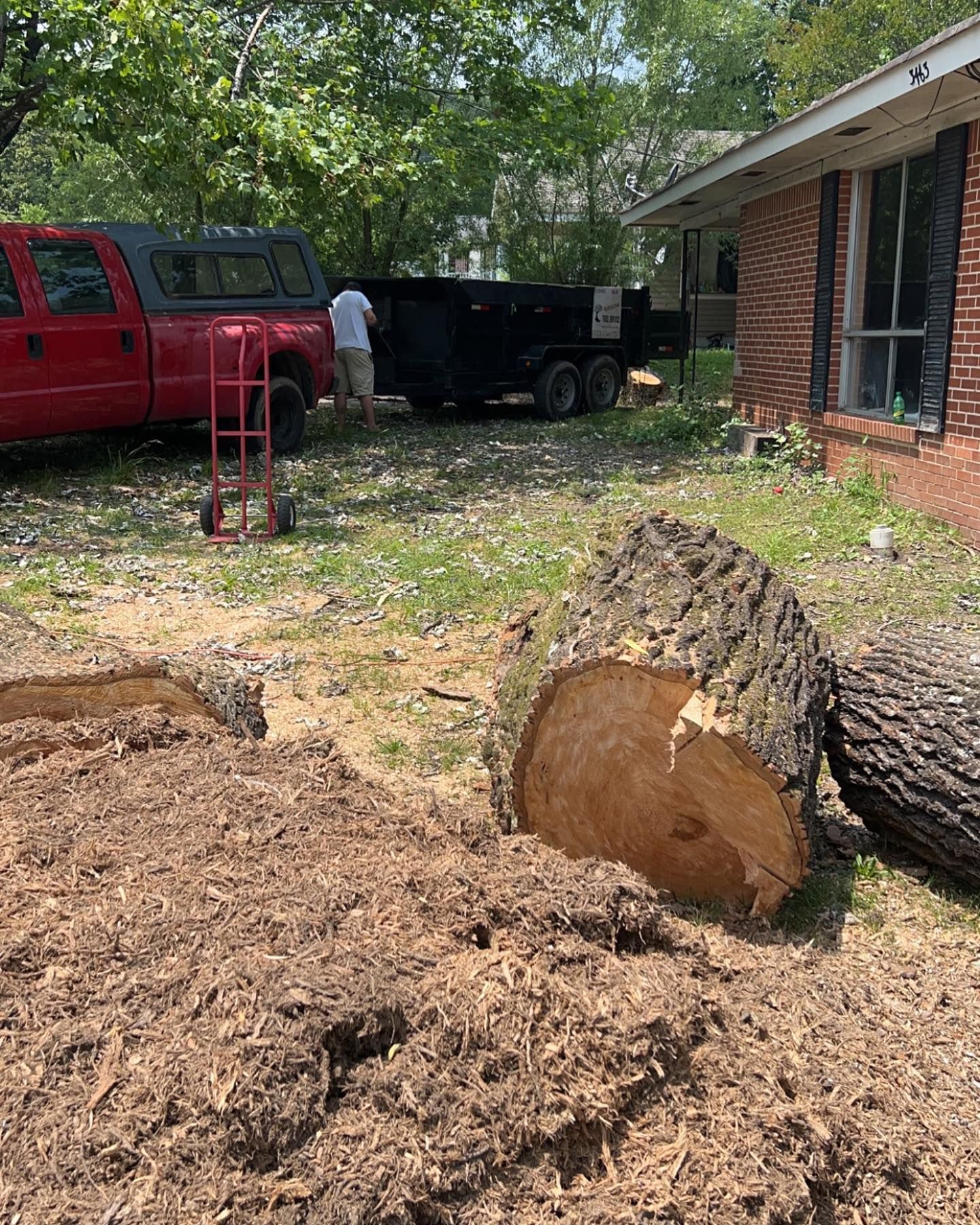  for Professional Tree Service USA in Chattanooga, TN