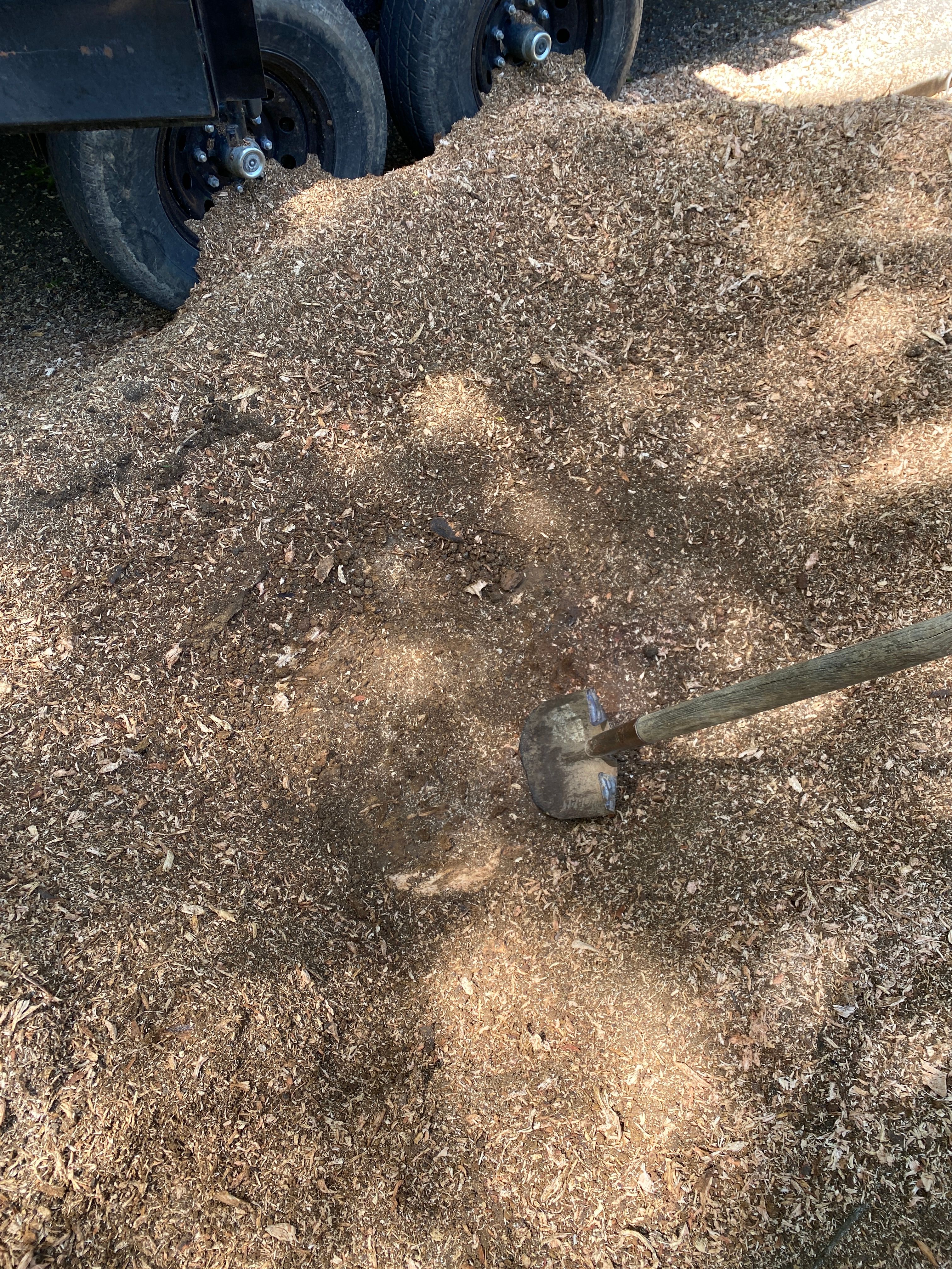 All Photos for Houtz Tree Service in Lexington, KY