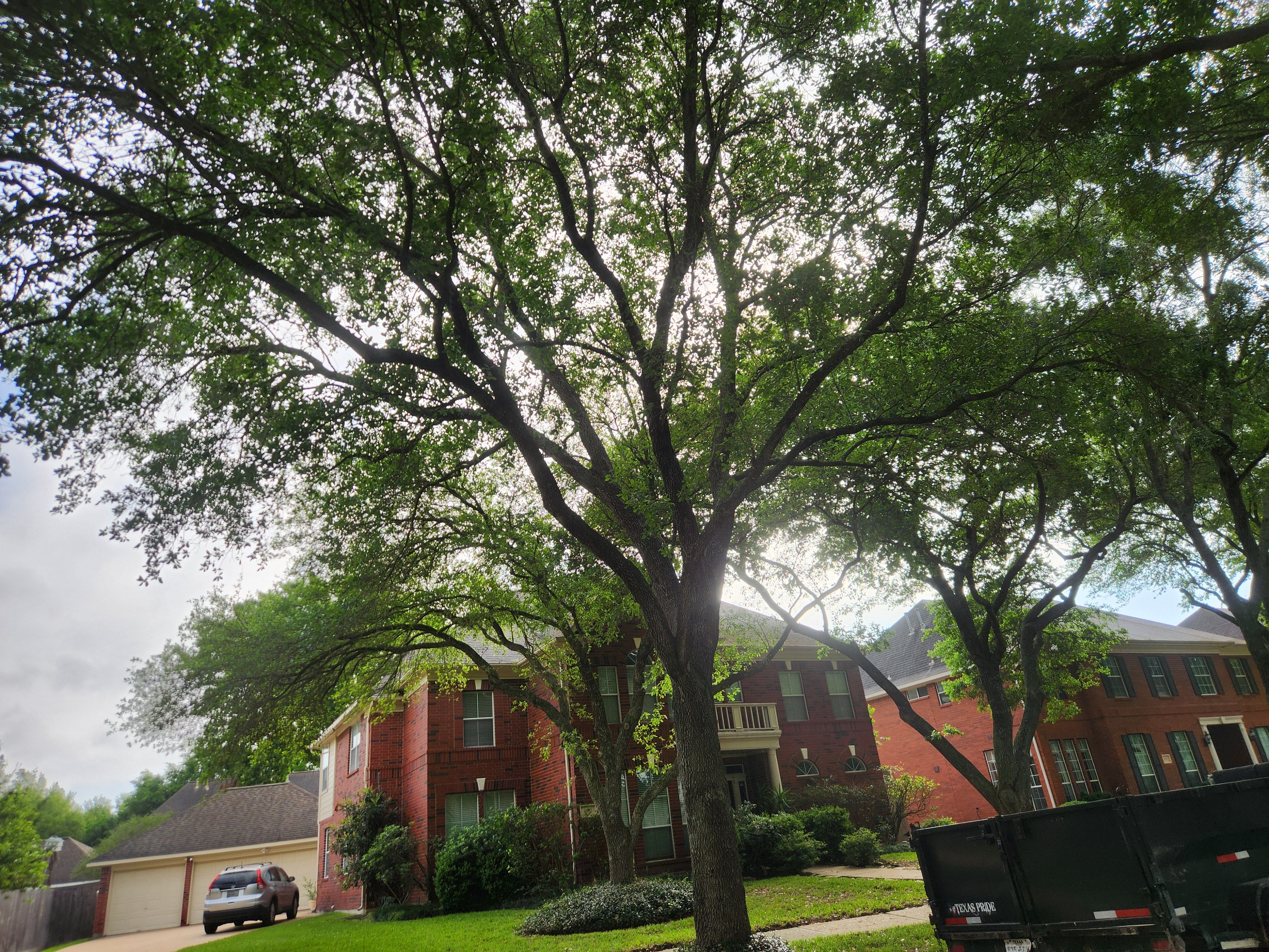  for Right Choice Landscaping LLC in Houston, TX