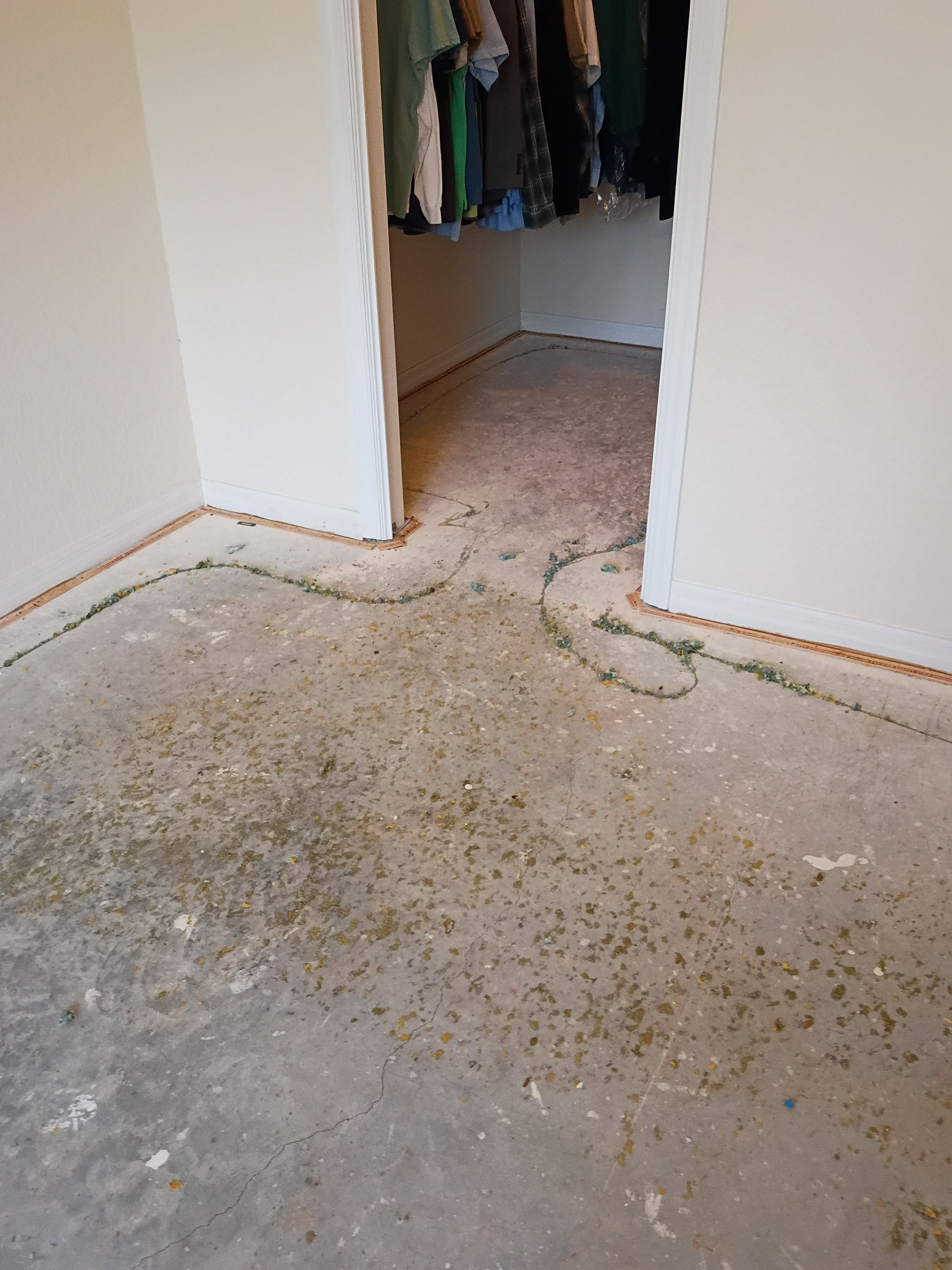  for Travieso Flooring LLC in Dade City, FL