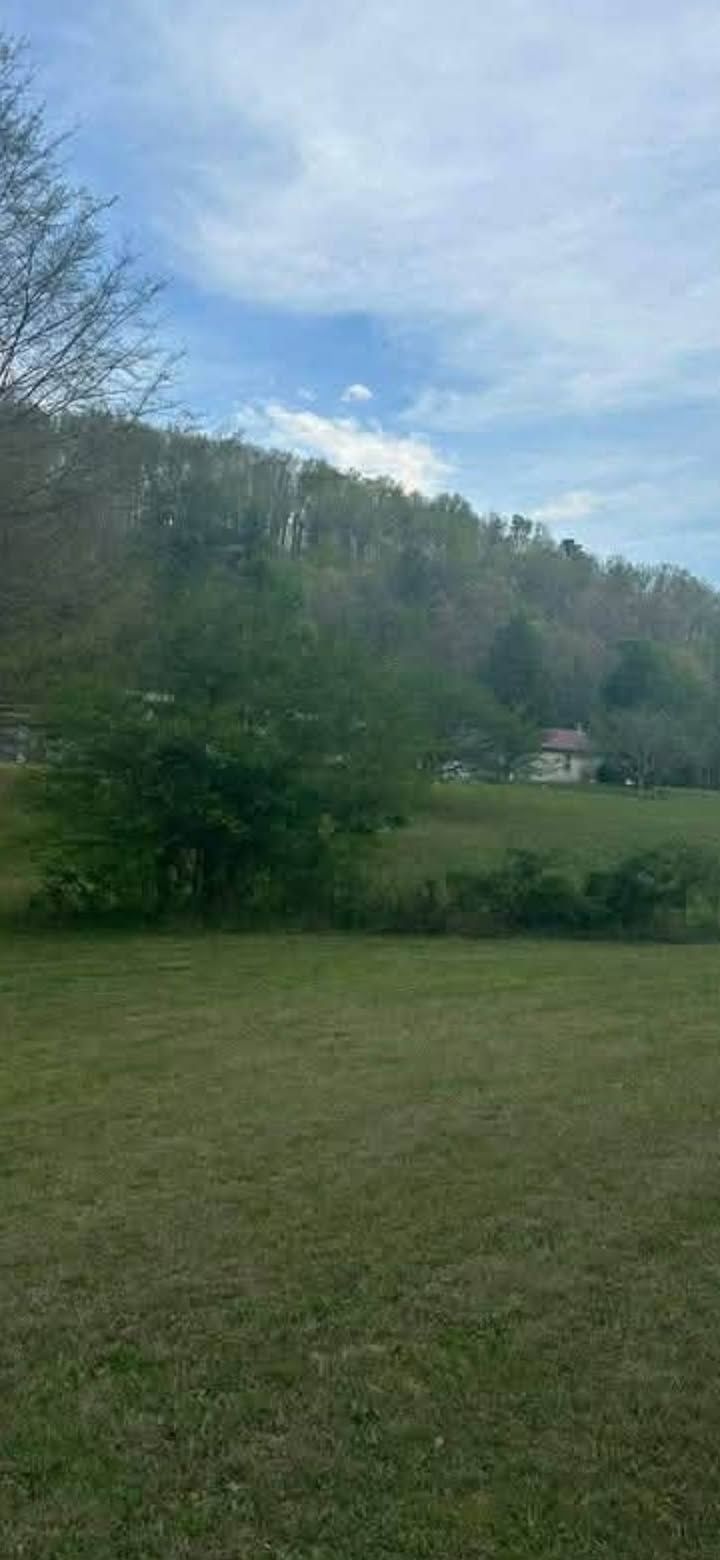  for Big C Land Management in Anniston, AL