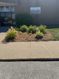 All Photos for Daugherty's Tough Lawn Care in Essexville, MI
