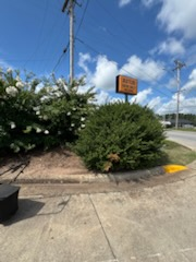  for Thin Green Line Landscaping & More in Laurens, SC