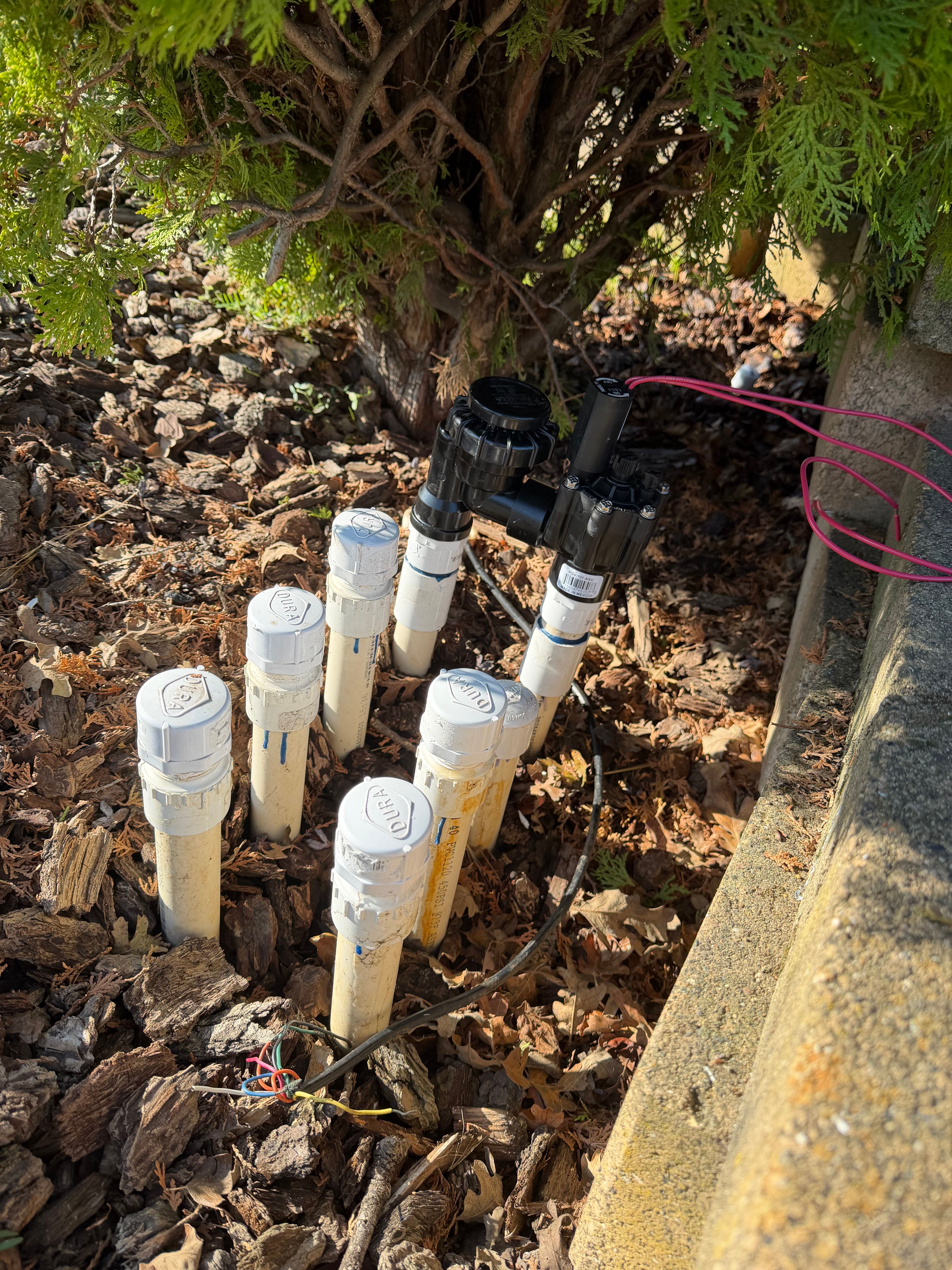  for CBA Landscaping in Hayward, CA