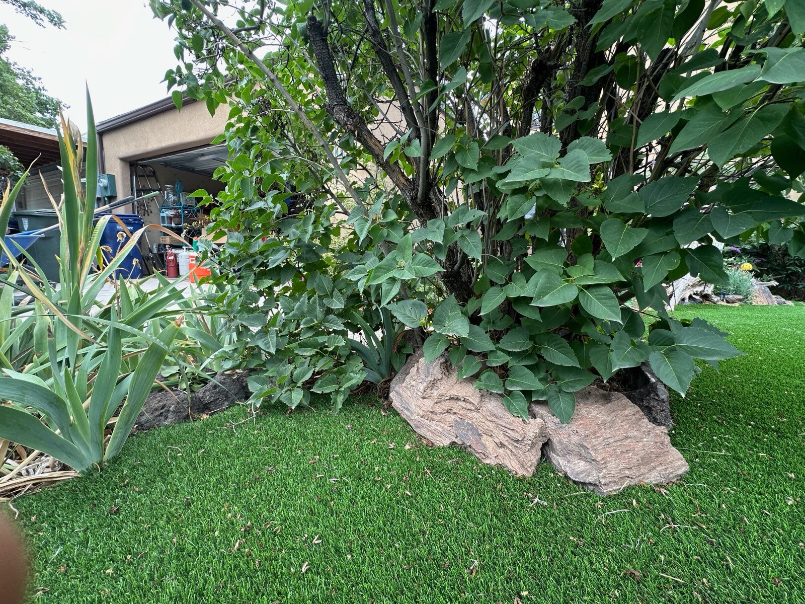  for Go Green Turf Pros in Albuquerque, NM