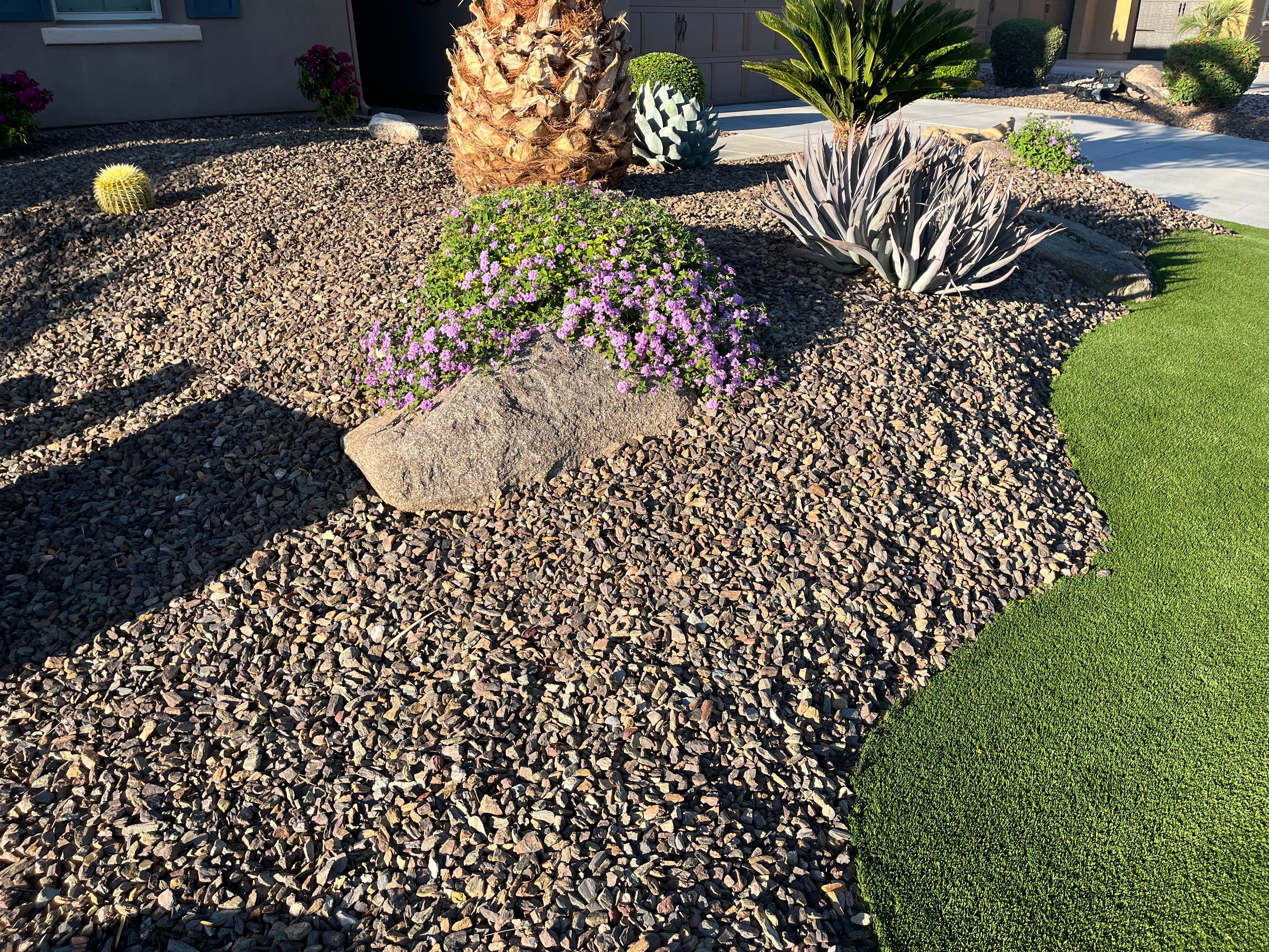 All Photos for Grand Canyon State Landscape Inc. in Surprise, AZ