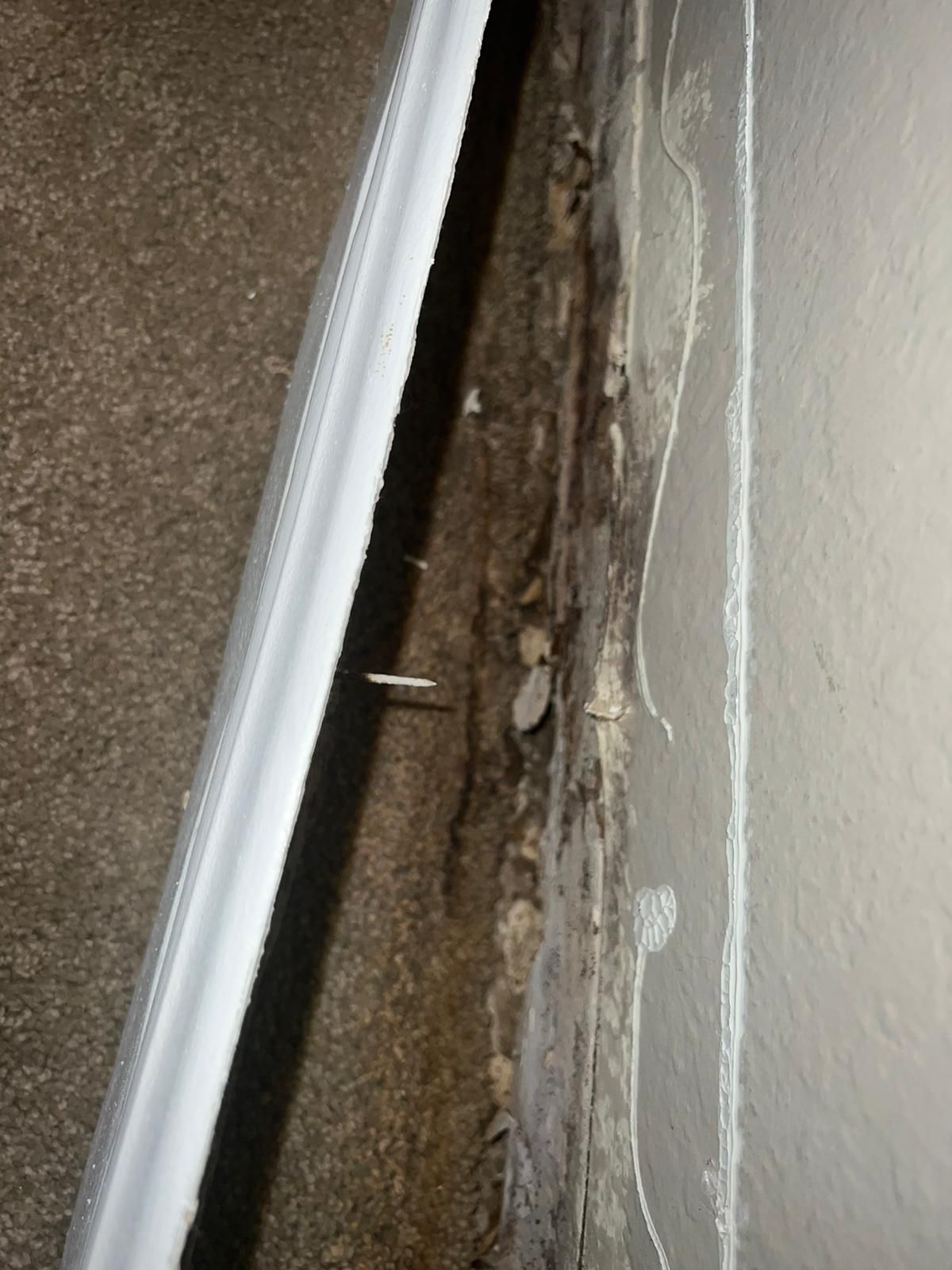  for N&D Restoration Services When Disaster Strikes, We Come In in Cape Coral,  FL