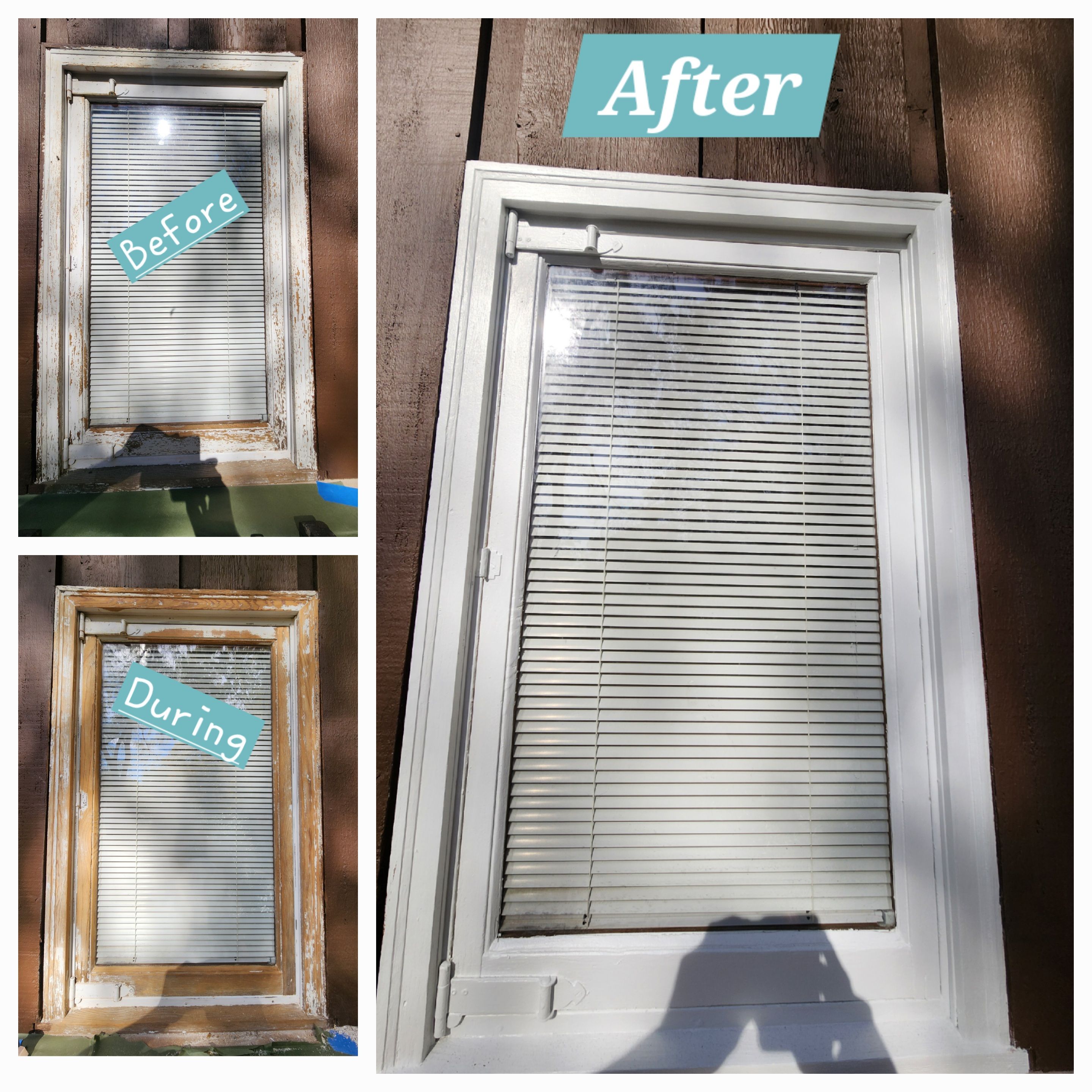  for Troy Jones Renovation in Fennville, MI