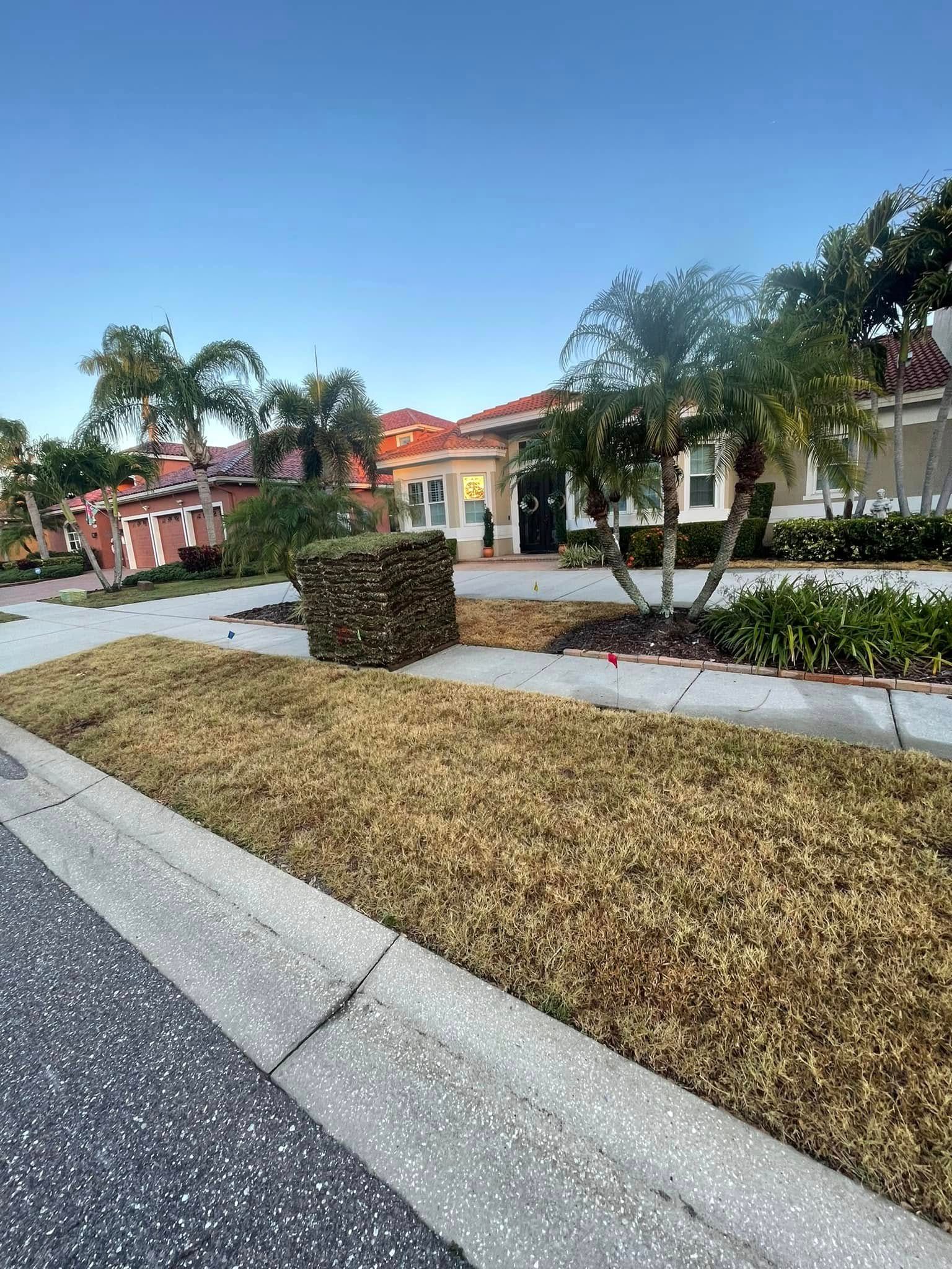  for Gulf Bay Sod in Clearwater, FL