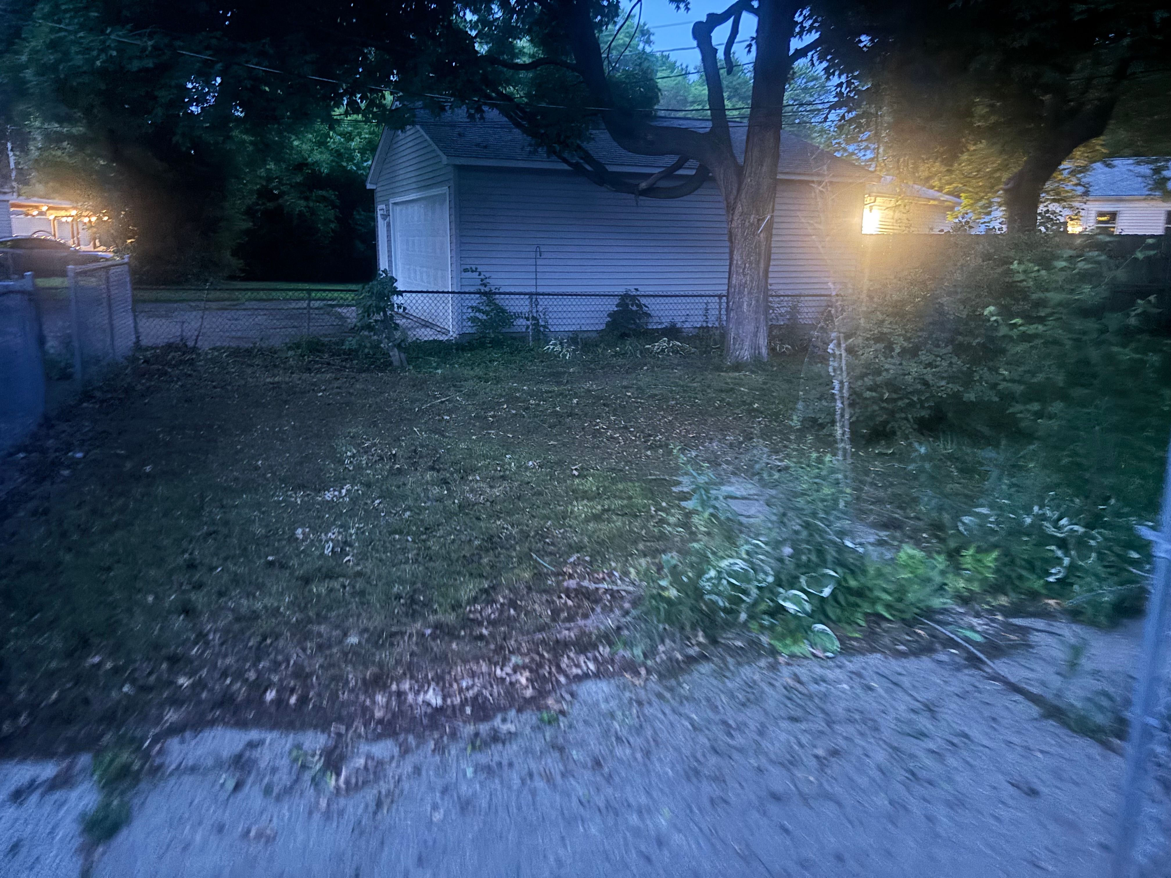 All Photos for KY Lawn Care in Springfield, IL