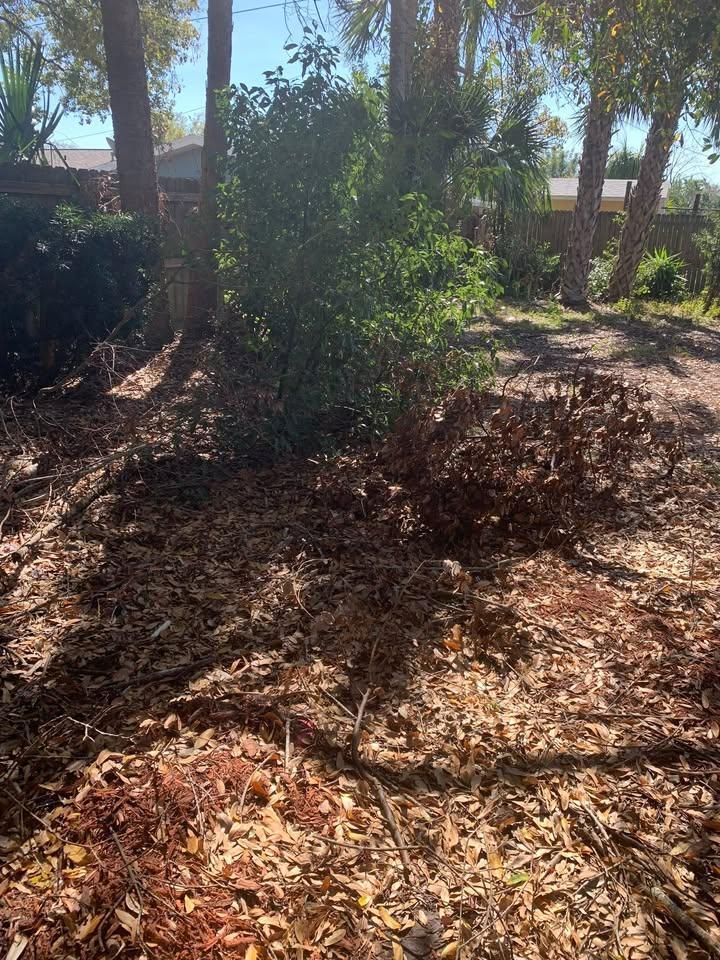  for Space Coast Property Maintenance and Management LLC in Brevard County, FL