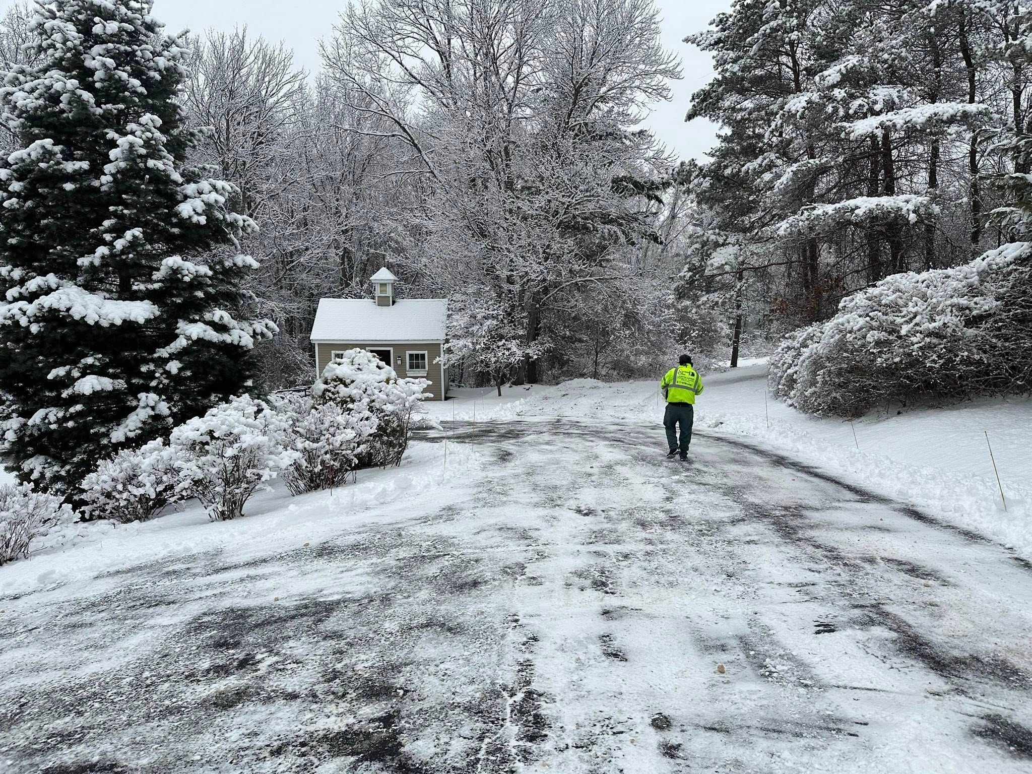  for Saavedra & Sons Landscaping in Waltham, MA
