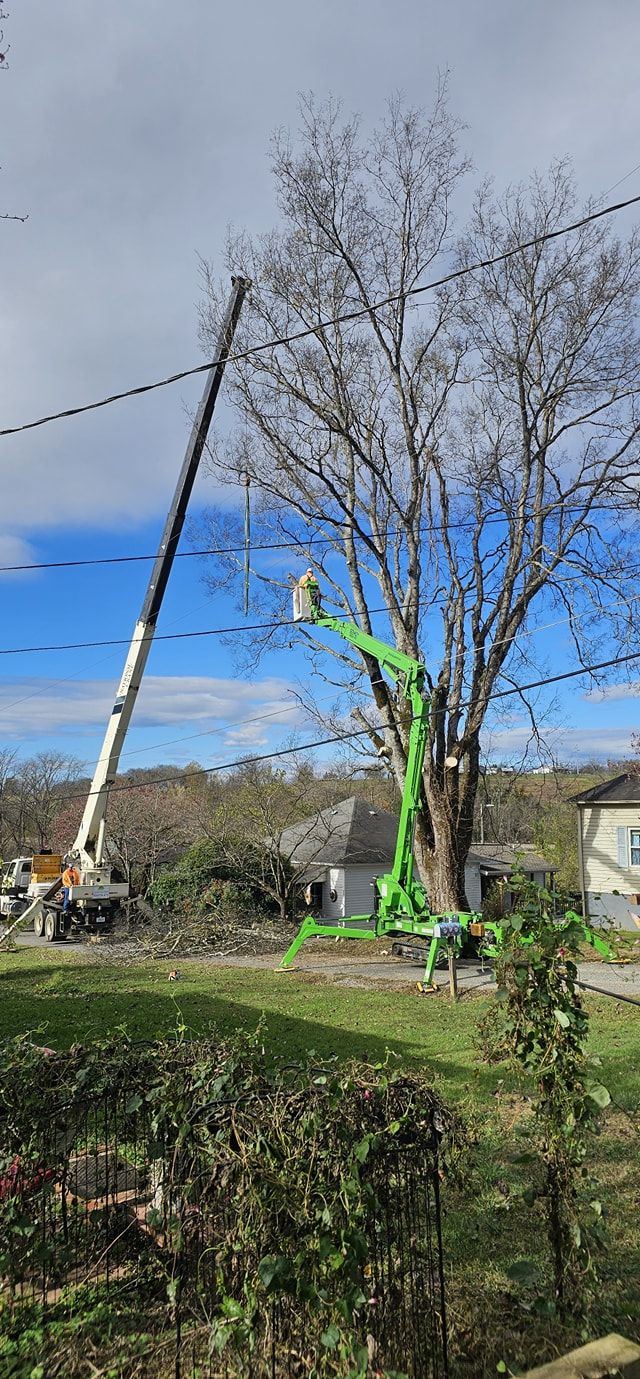 for Reagan & Sons Tree Service in Dandridge, TN