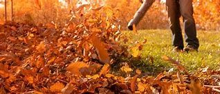  for New Beginning Landscape & Remodel LLC in Atlanta, GA