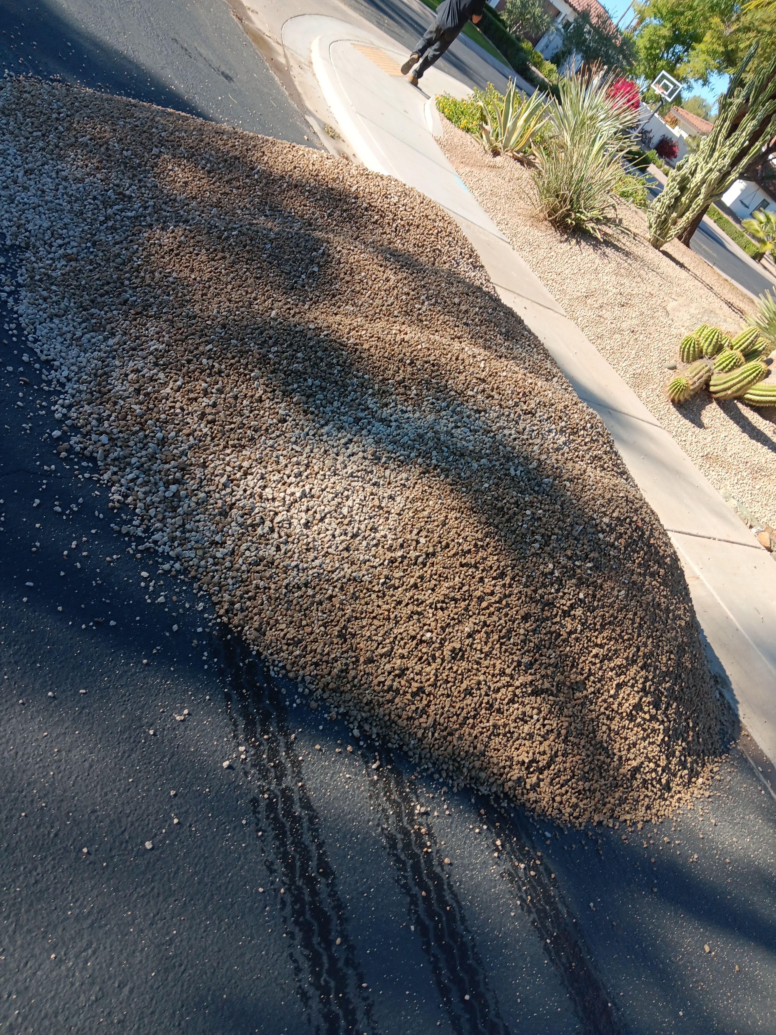  for Family Landscaping in Phoenix, AZ